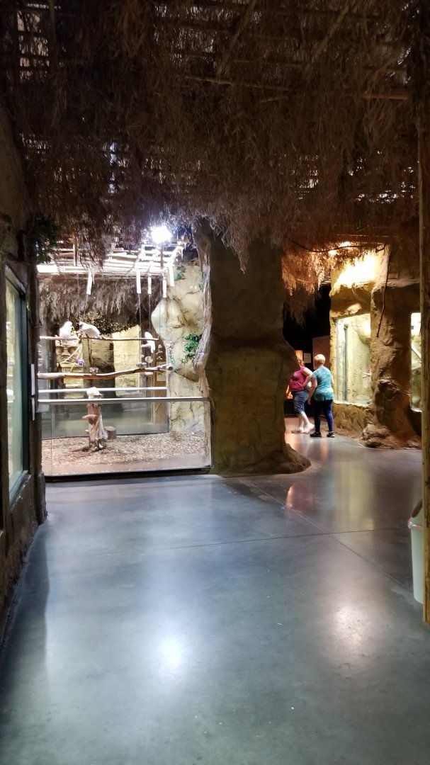 Rainforest Adventures - Hallway, cockatoo area in front