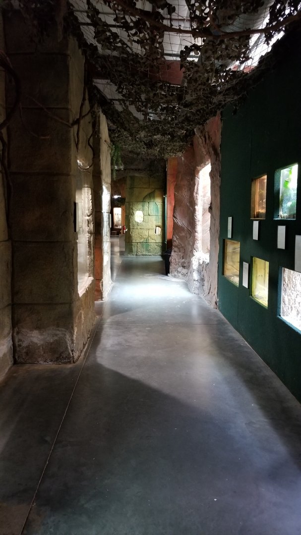 Rainforest Adventures - Hallway