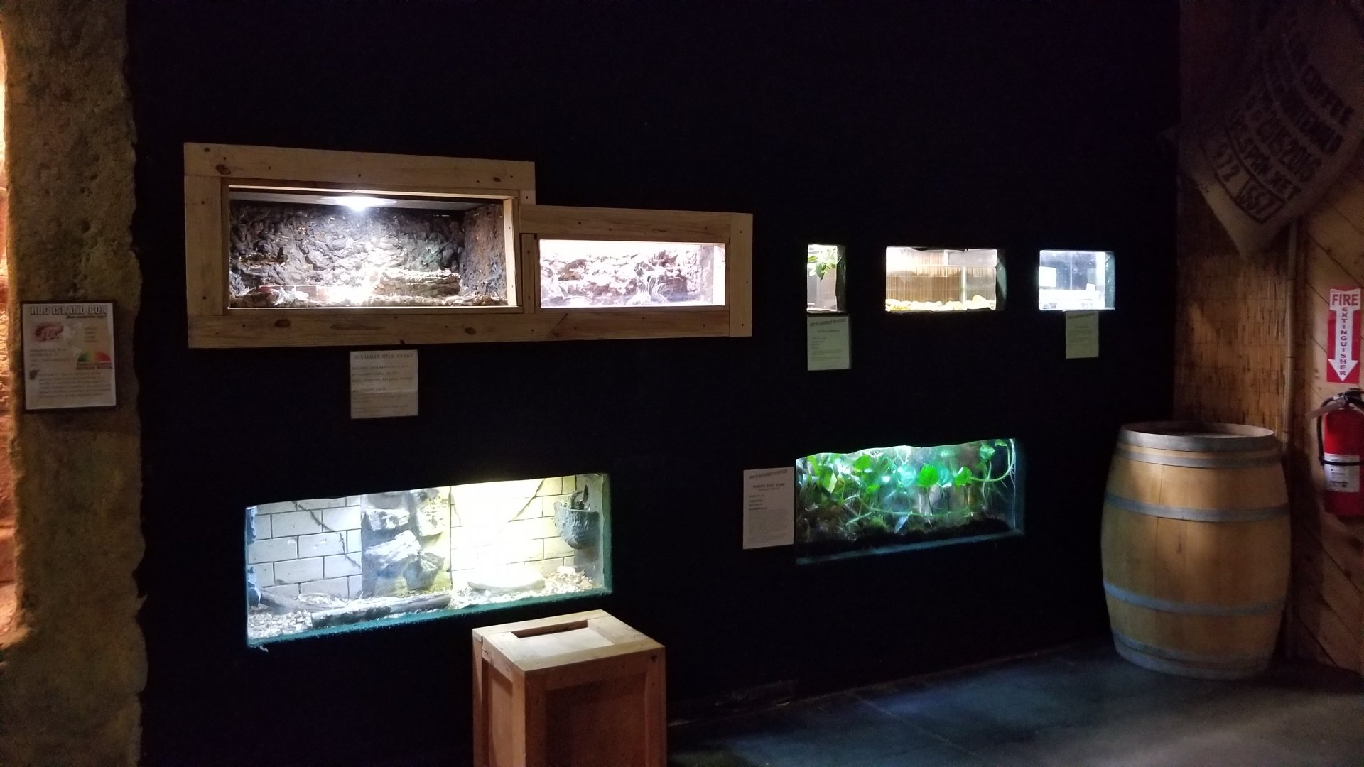 Rainforest Adventures - Herps across from rat area