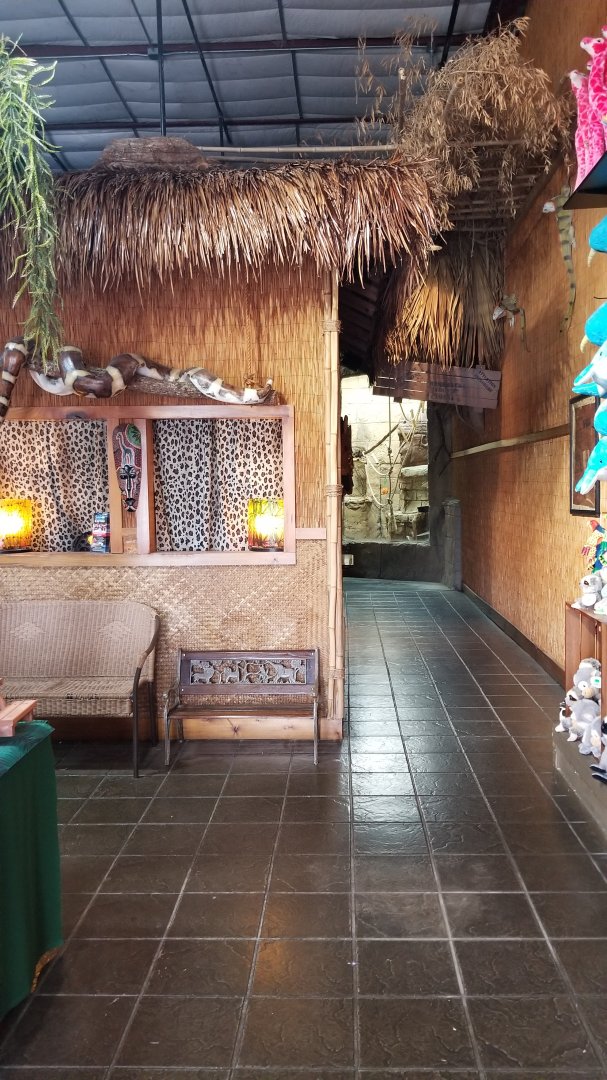 Rainforest Adventures - Inside Entrance