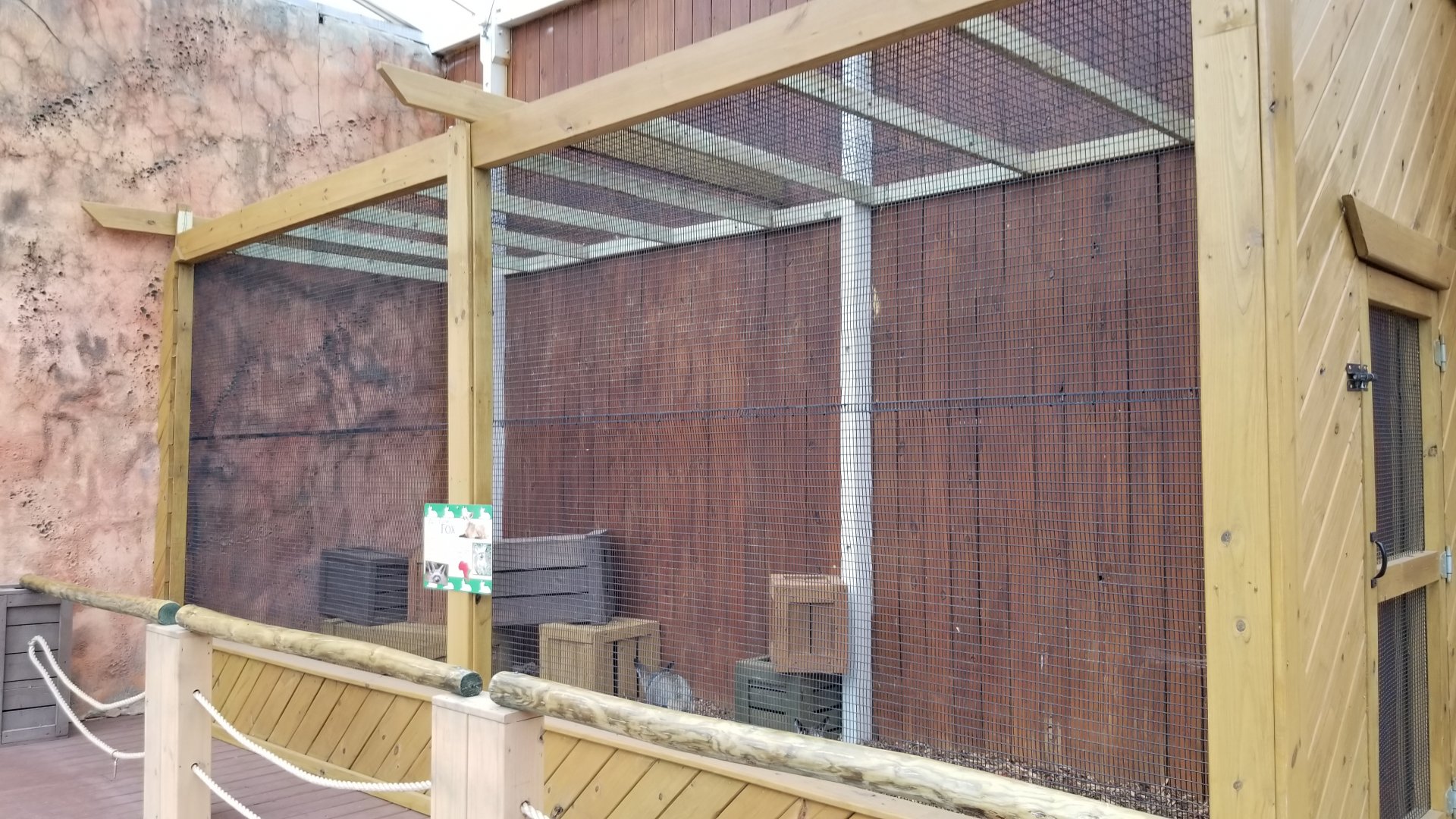 Rainforest Adventures - Outside - Bat-eared Foxes