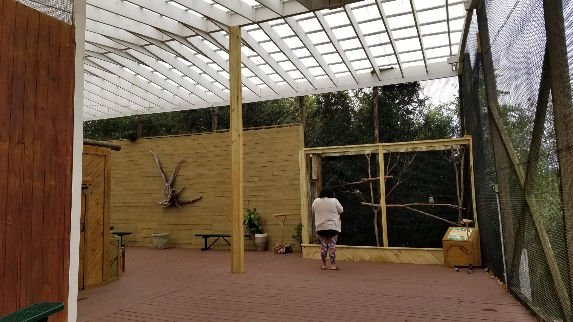 Rainforest Adventures - Outside - covered area