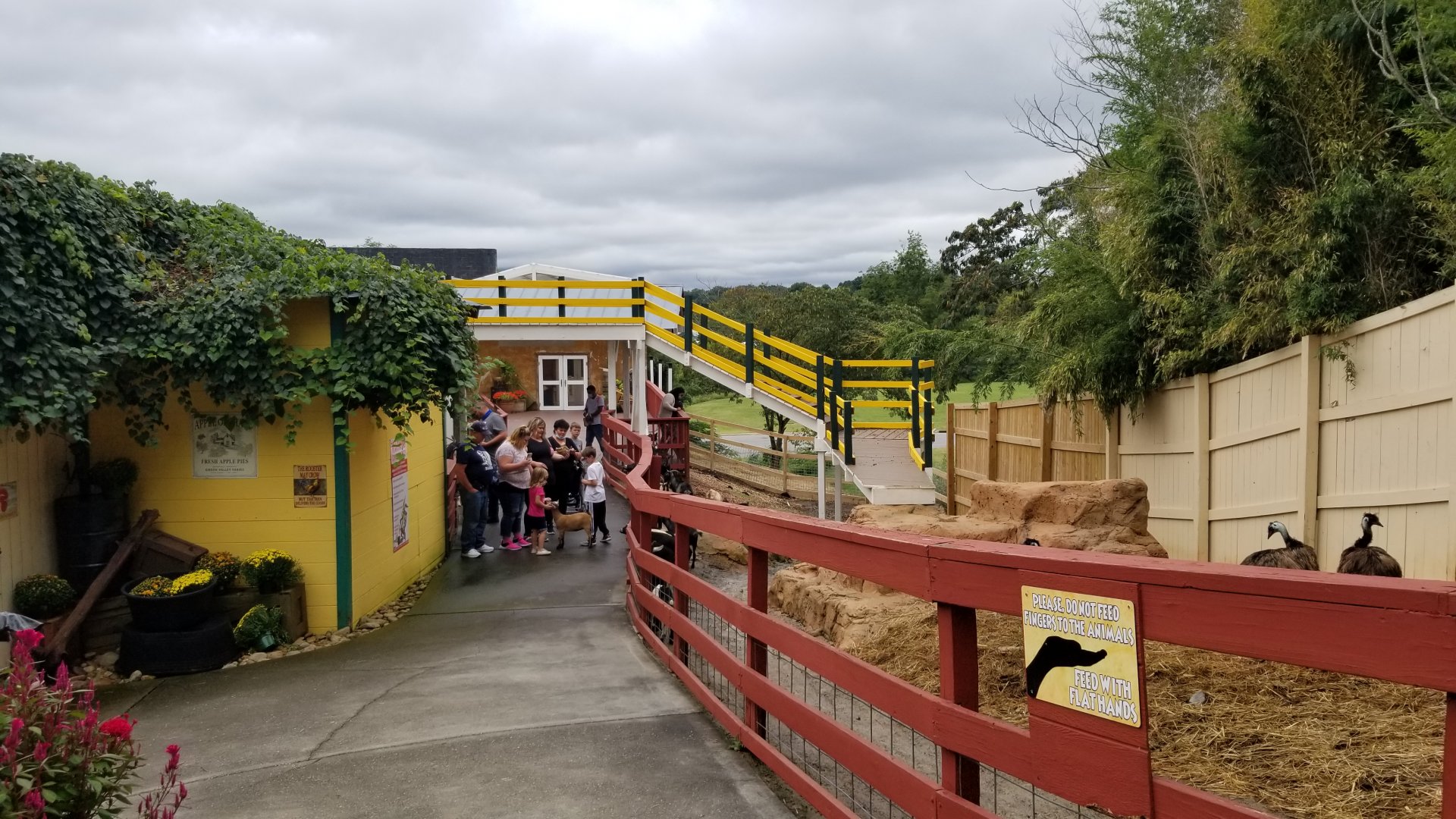 Rainforest Adventures - Outside - Emu and Goats, looking back