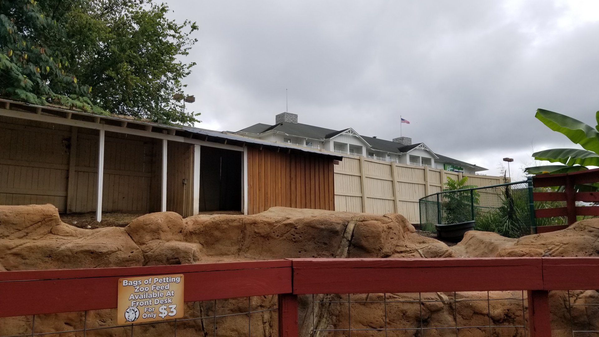 Rainforest Adventures - Outside - Emu and goats