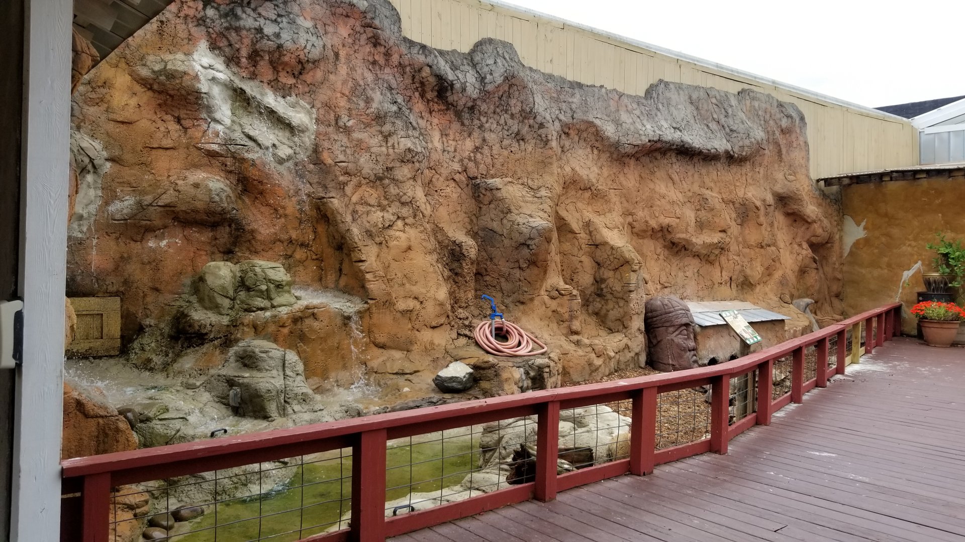 Rainforest Adventures - Outside - Sulcata Tortoises