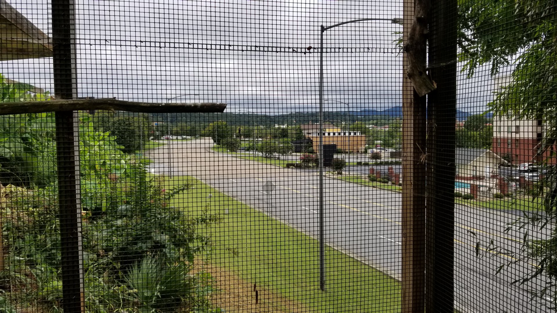 Rainforest Adventures - Outside - View of road