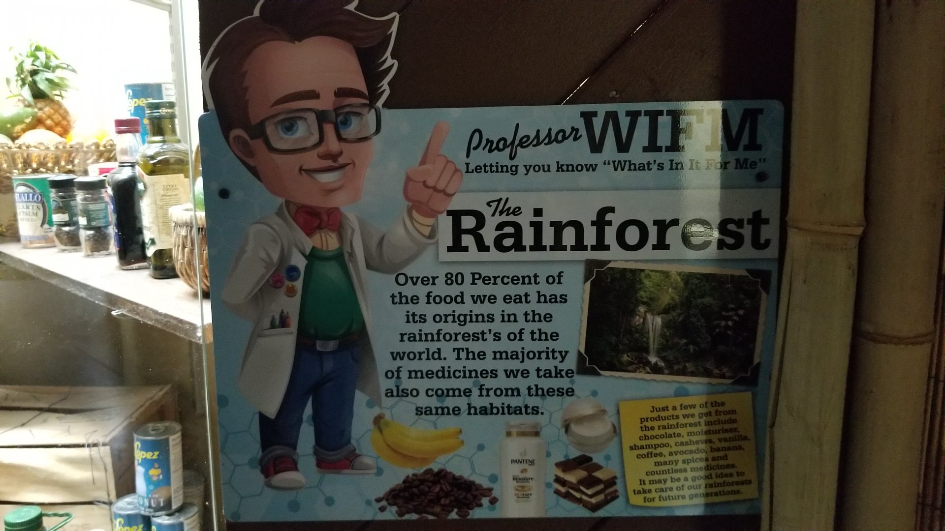 Rainforest Adventures - Rainforest items sign