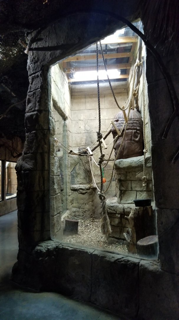 Rainforest Adventures - Red-fronted Lemur exhibit