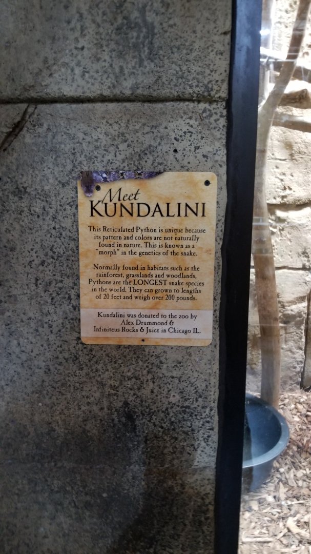 Rainforest Adventures - Reticulated Python sign