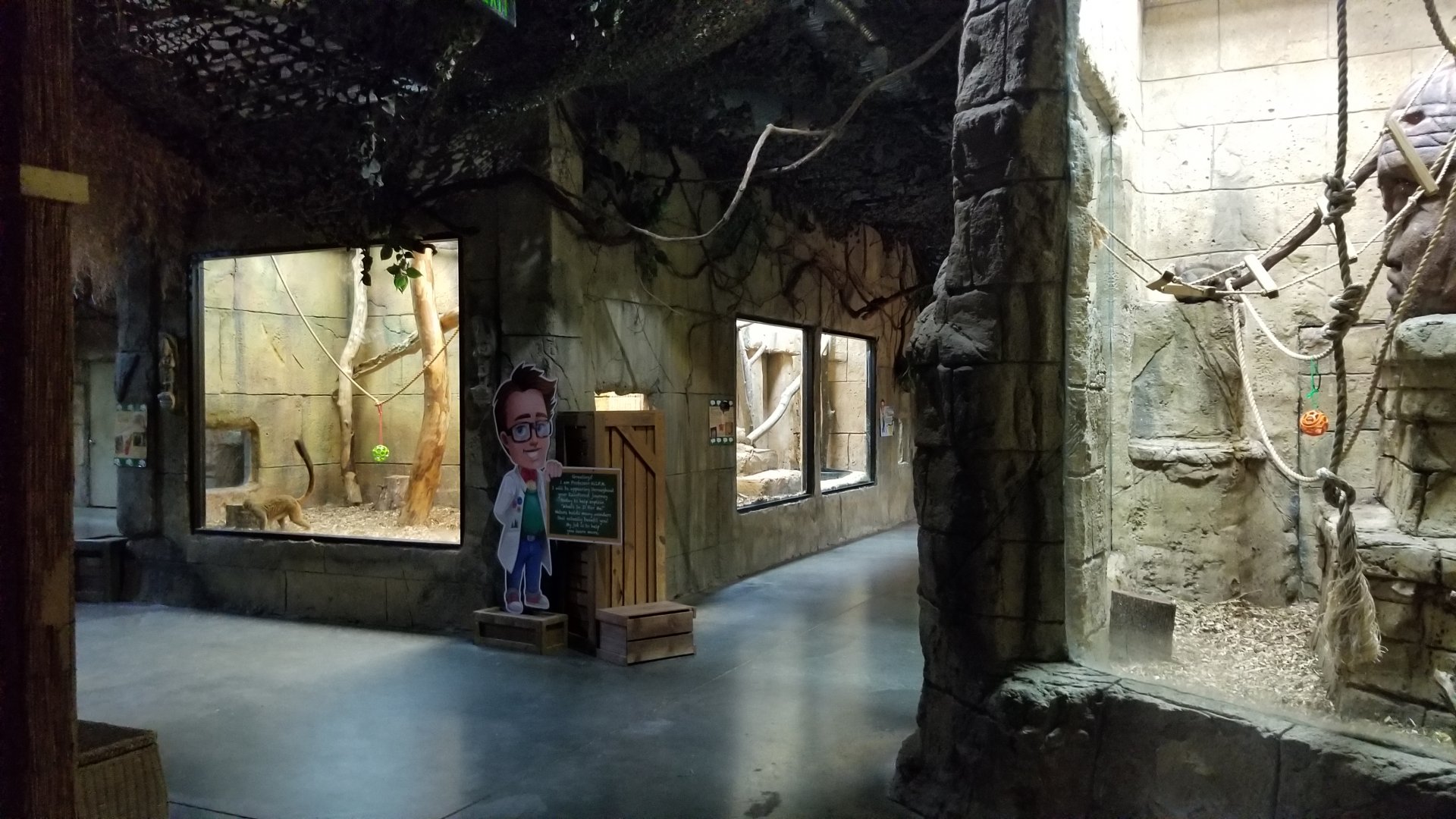 Rainforest Adventures - View inside entrance
