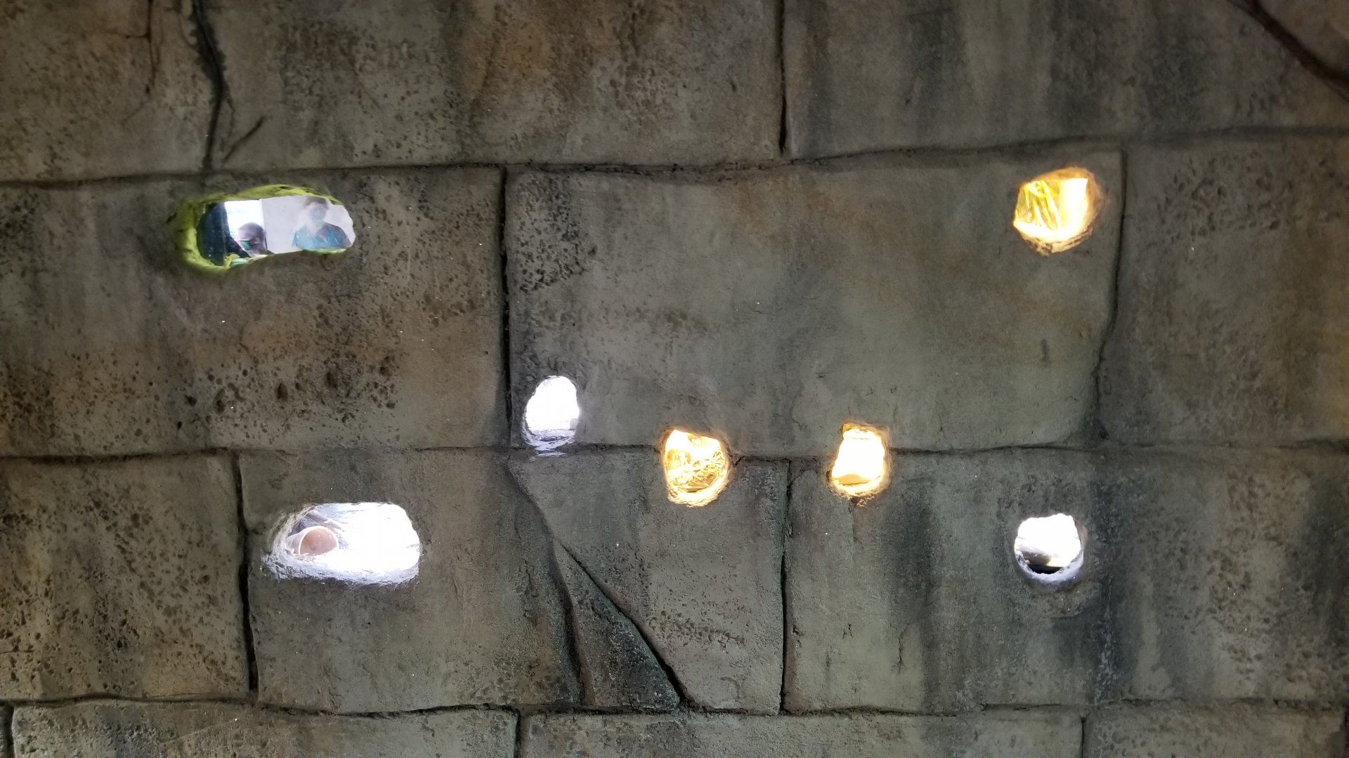 Rainforest Adventures - Wall of tiny exhibits