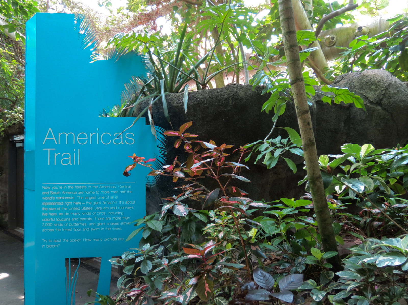 Rainforest - Americas Trail Sign