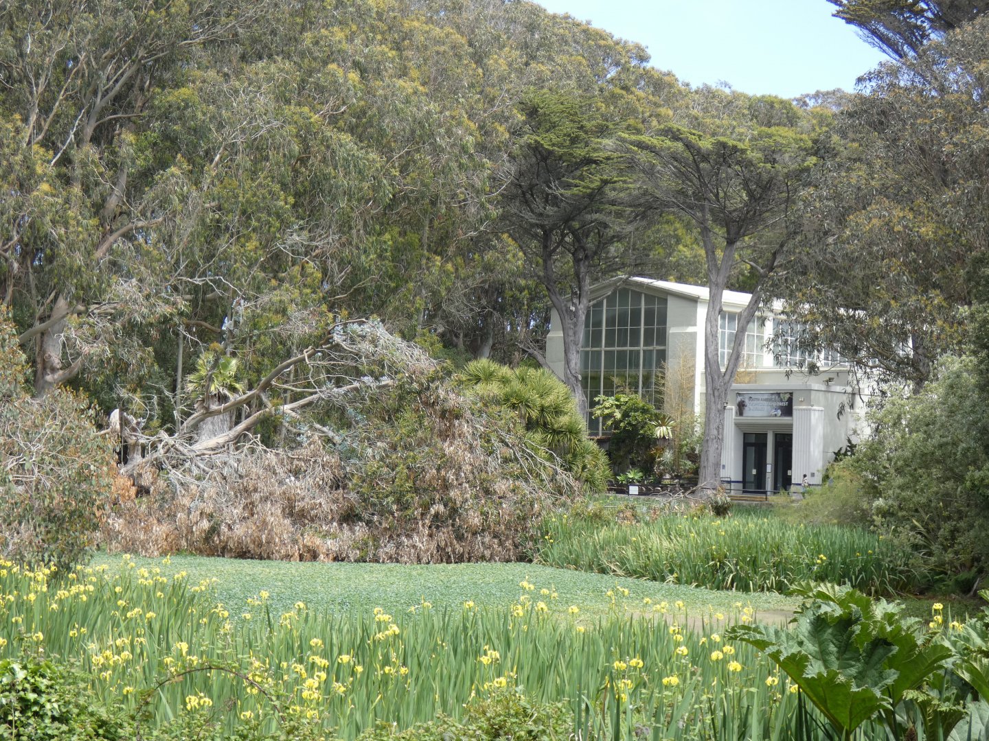 Rainforest and aviary across from the pond