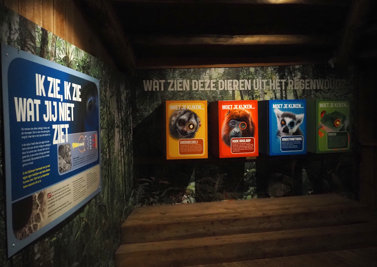 Rainforest animal sight signage, 2024-08-18