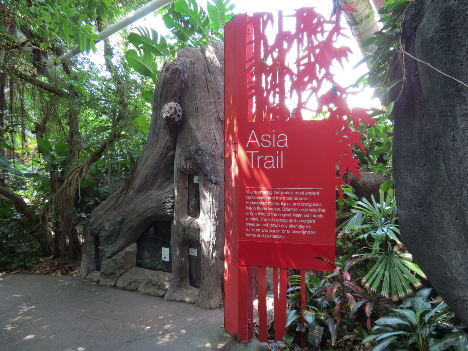 Rainforest - Asia Trail Sign