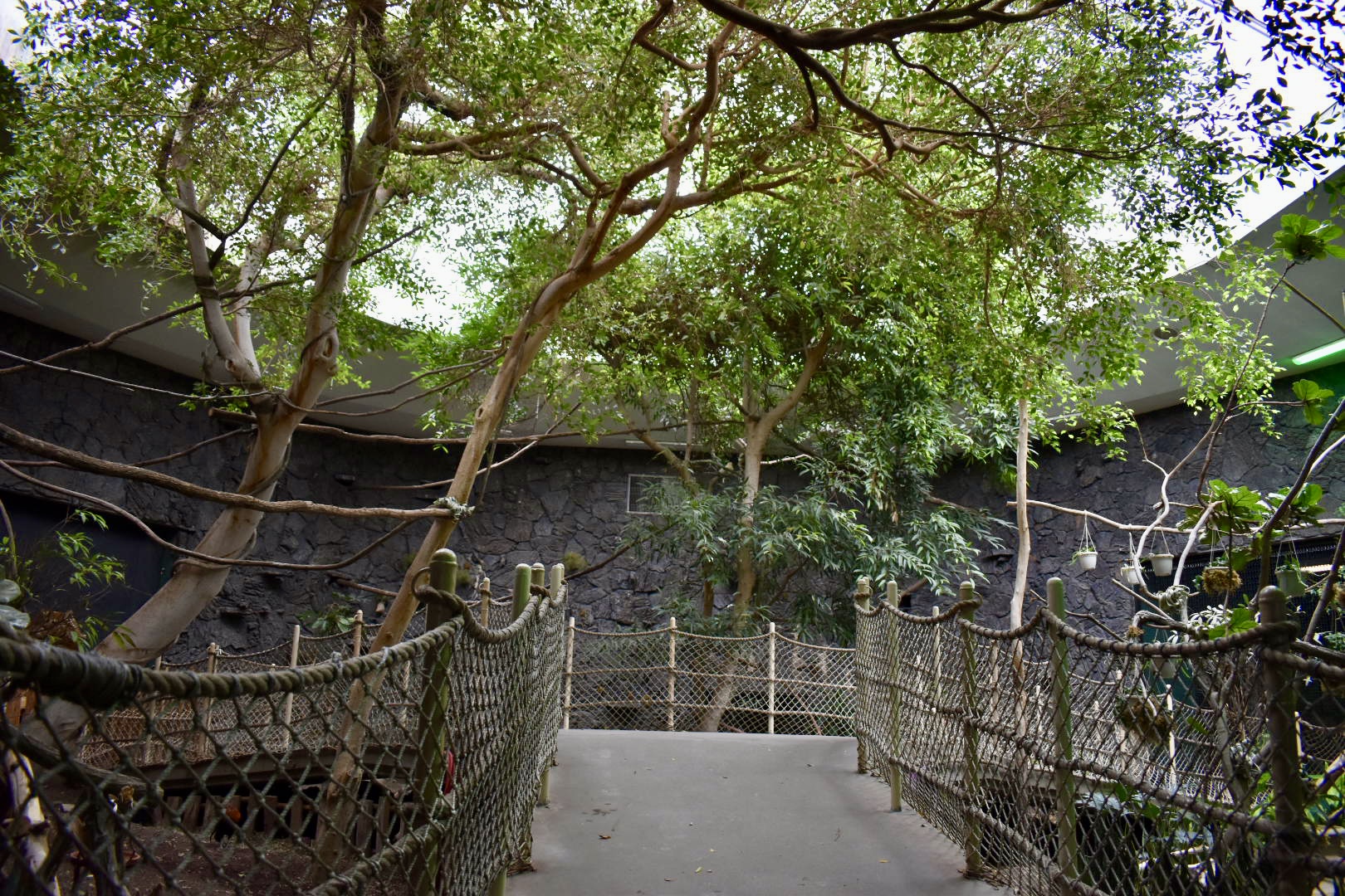 Rainforest Atrium - Small Animal Building