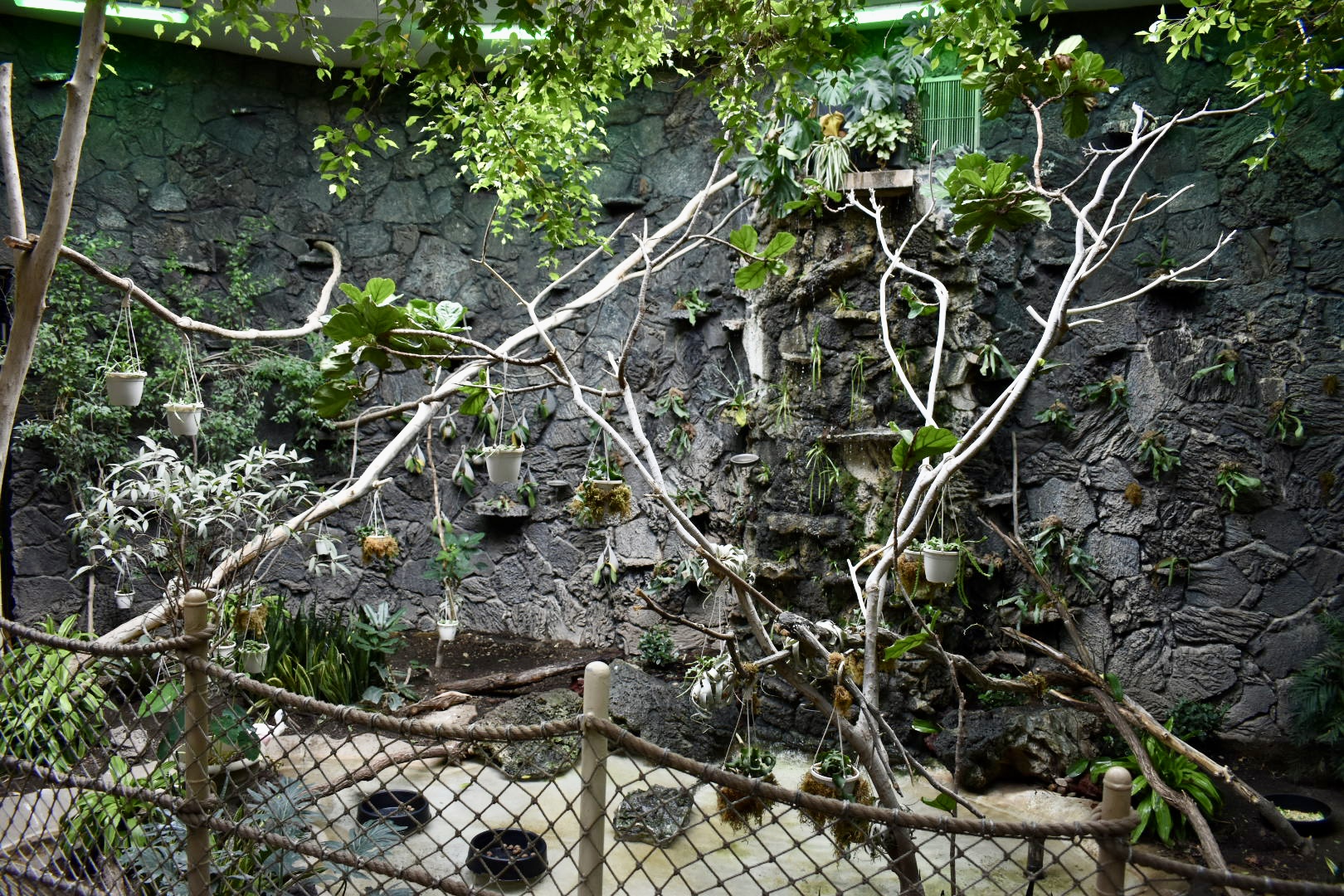 Rainforest Atrium - Small Animal Building