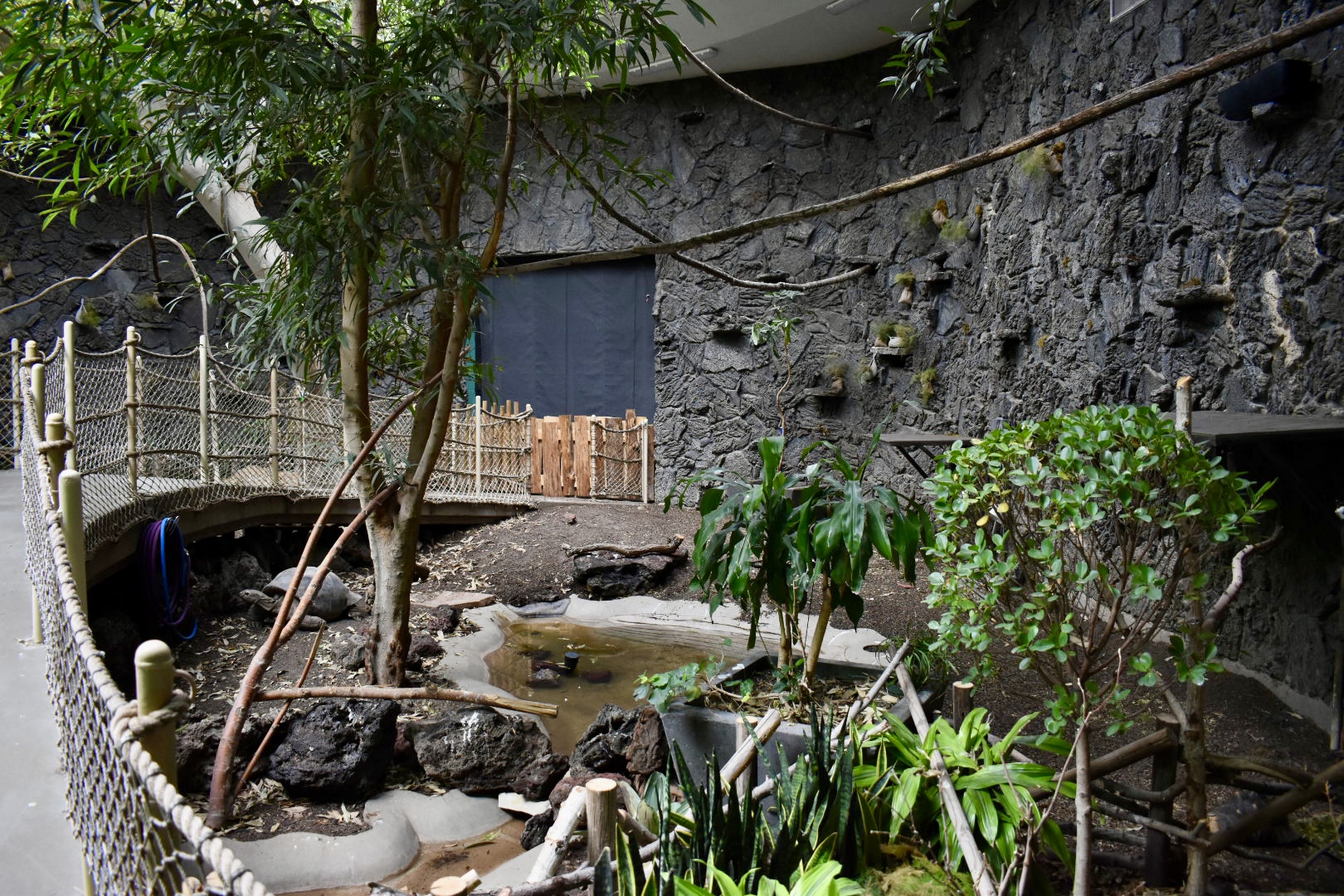 Rainforest Atrium - Small Animal Building