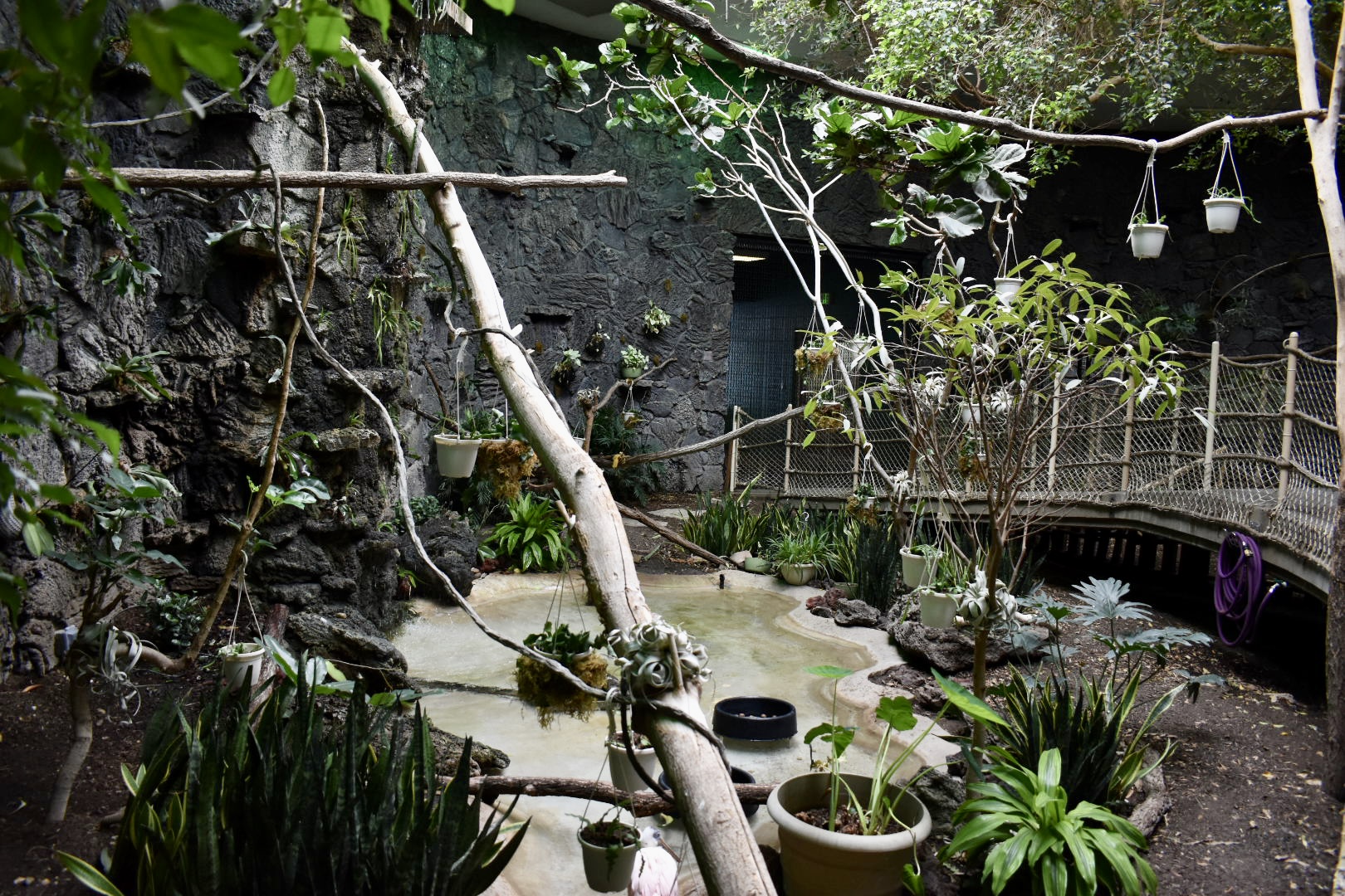 Rainforest Atrium - Small Animal Building