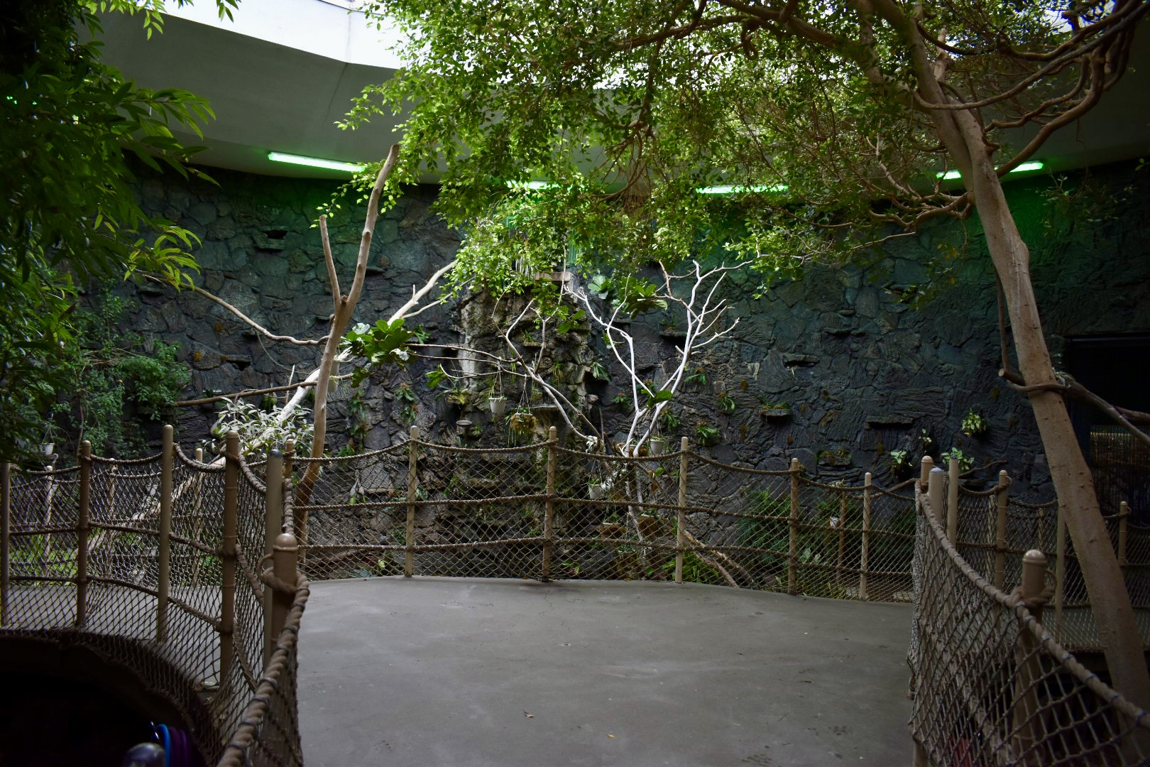 Rainforest Atrium - Small Animal Building