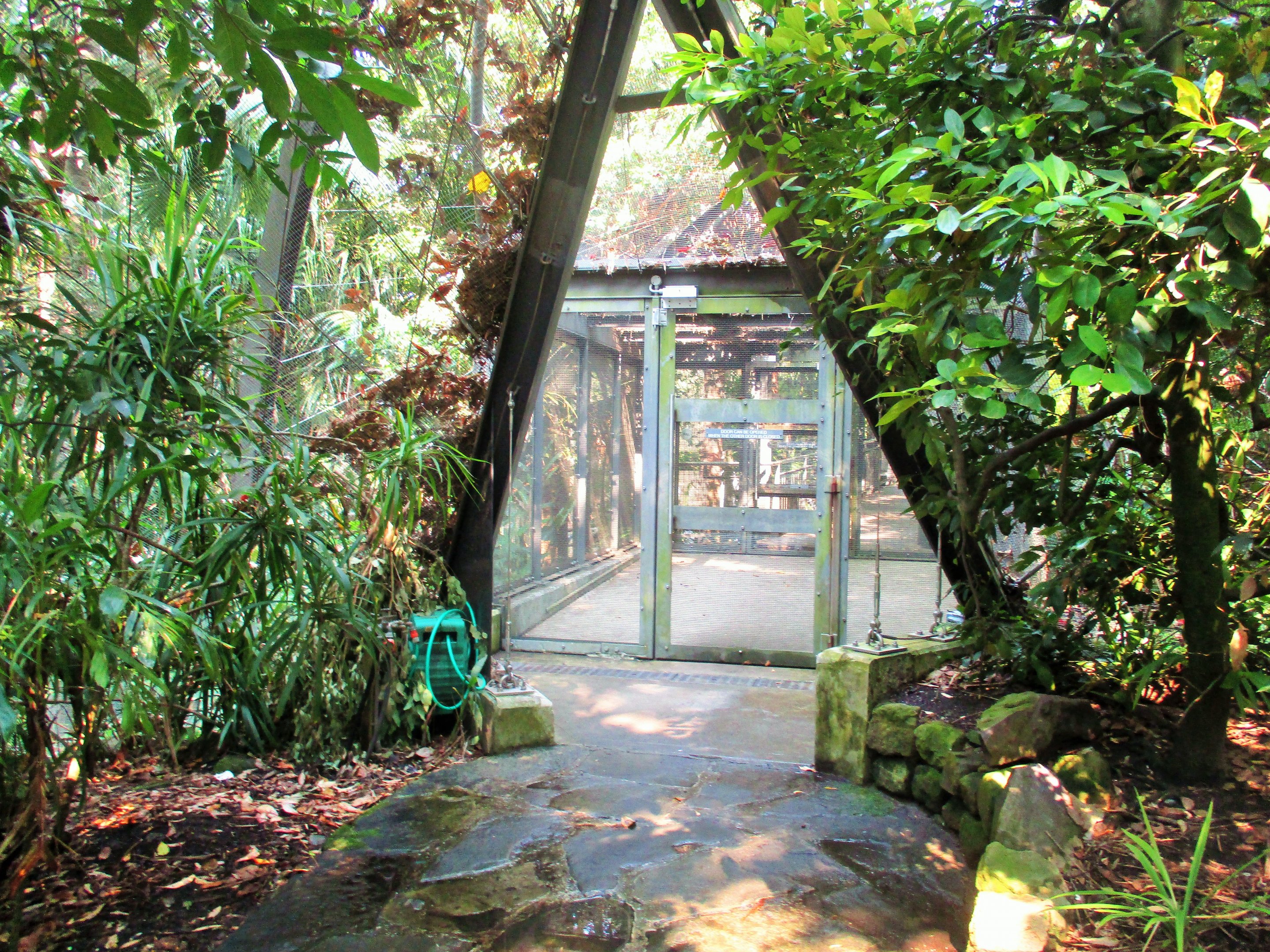 Rainforest Aviary Entrance