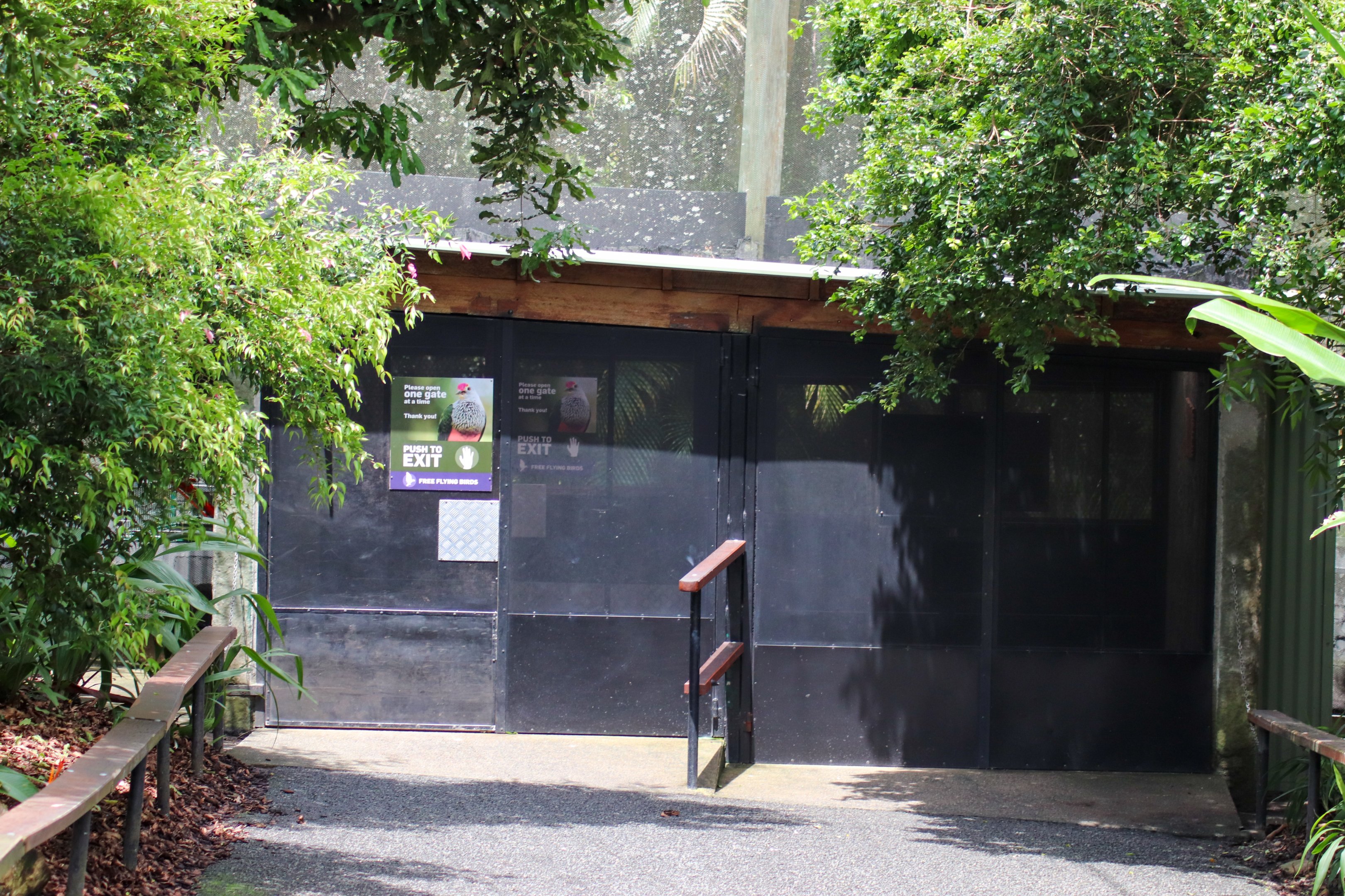 Rainforest Aviary Entry Area