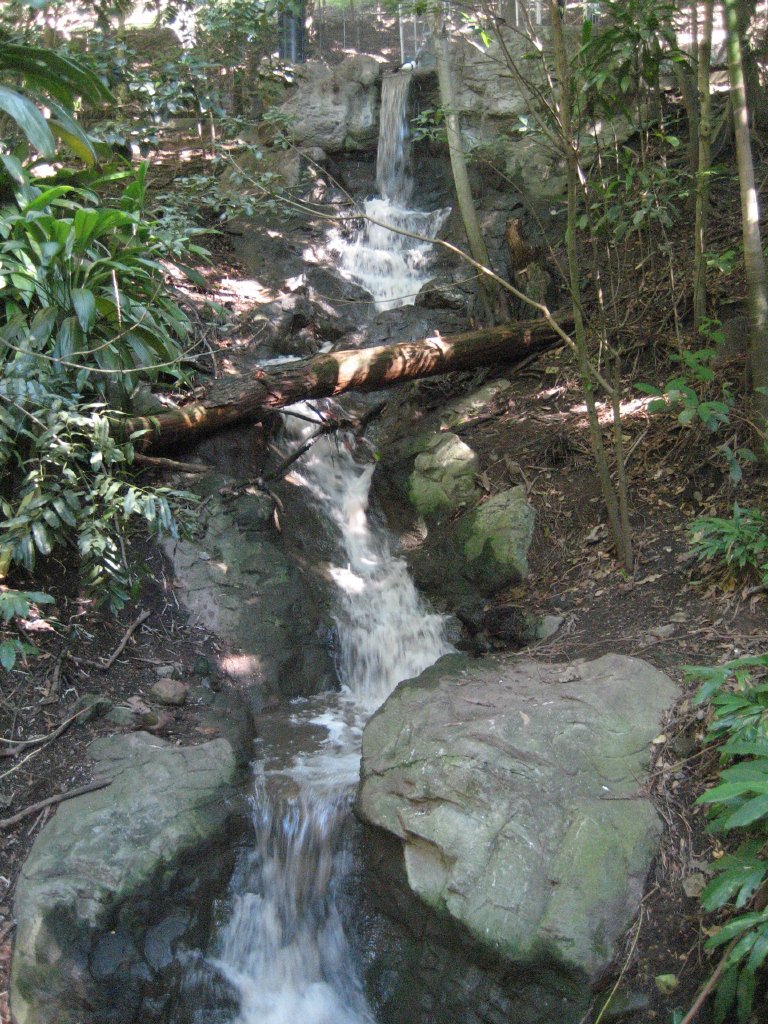 Rainforest Aviary interior