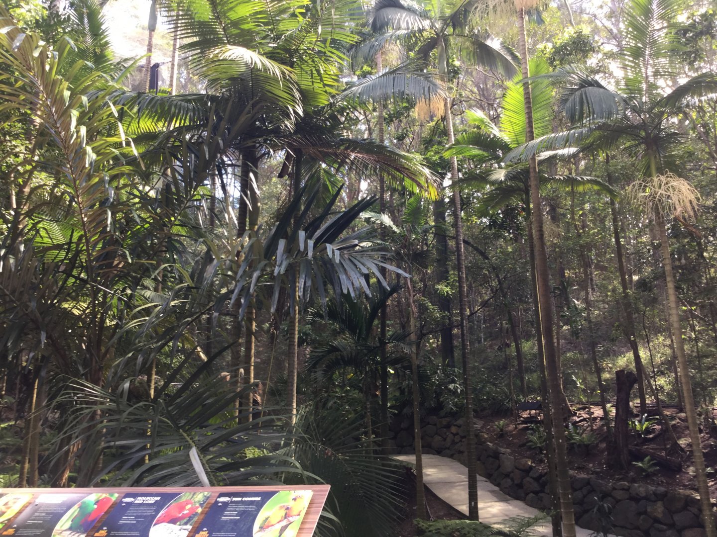Rainforest Aviary Interior