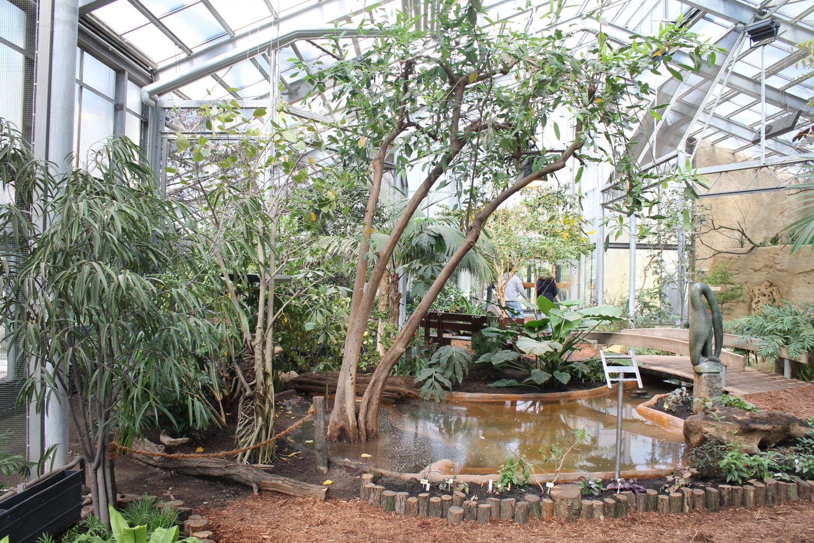 Rainforest-aviary ( Neotropical or Oriental ? )