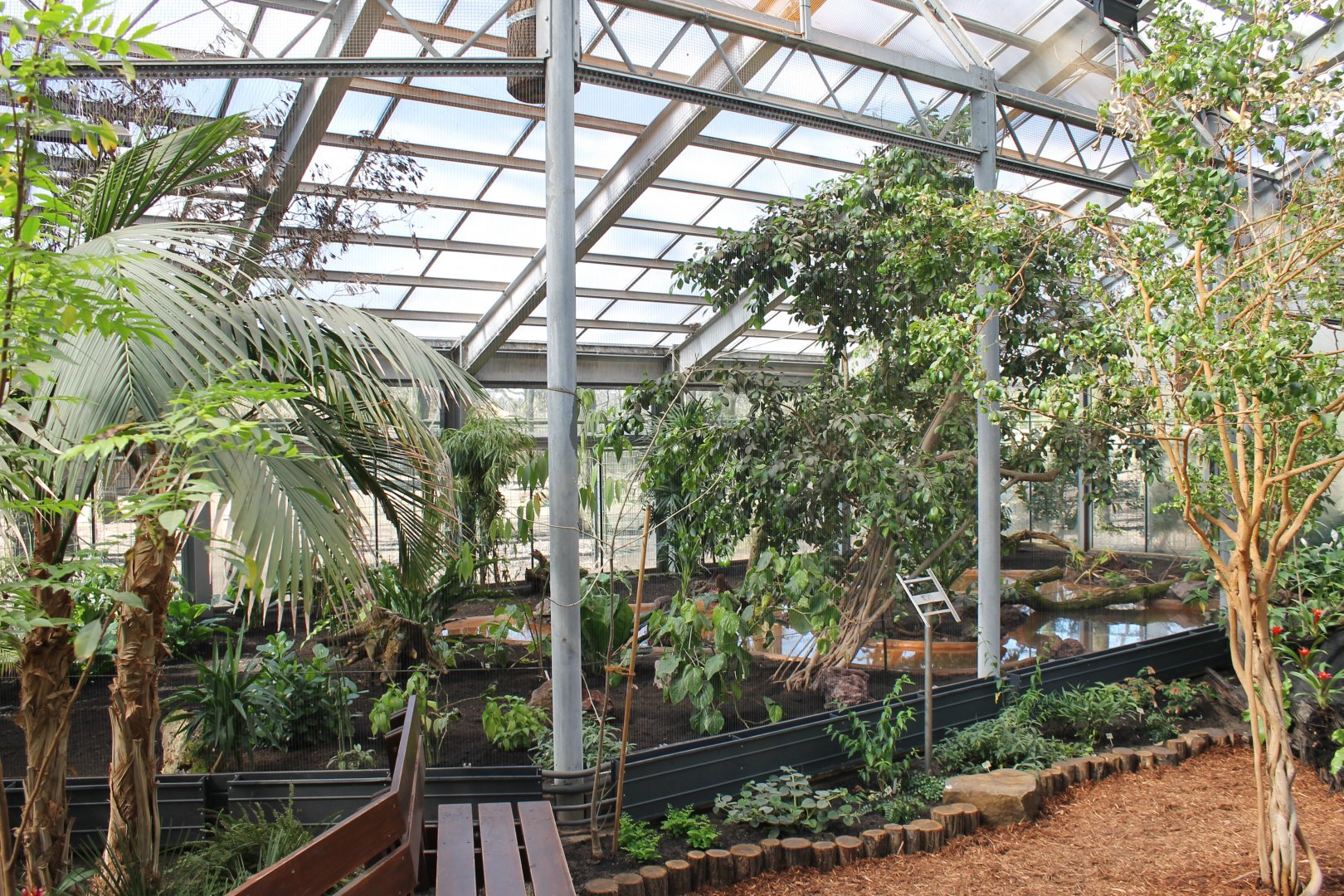 Rainforest-aviary ( Neotropical or Oriental ? )