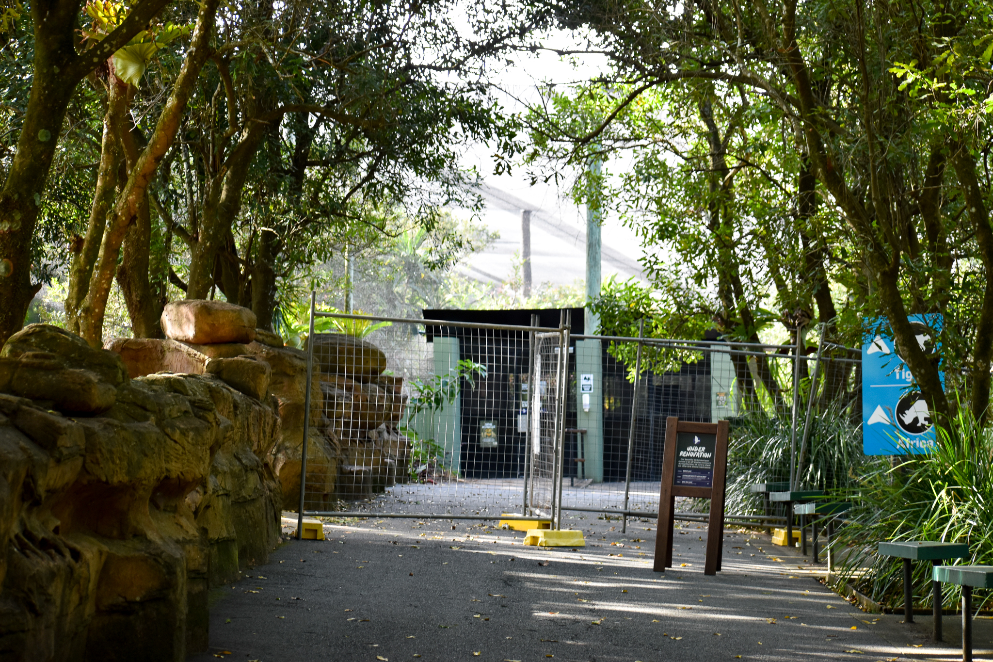 Rainforest Aviary Renovation