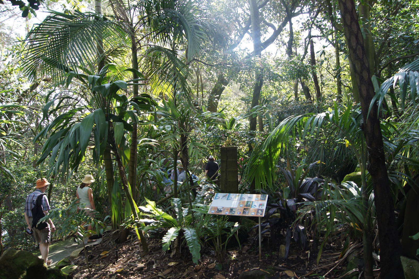 Rainforest Aviary