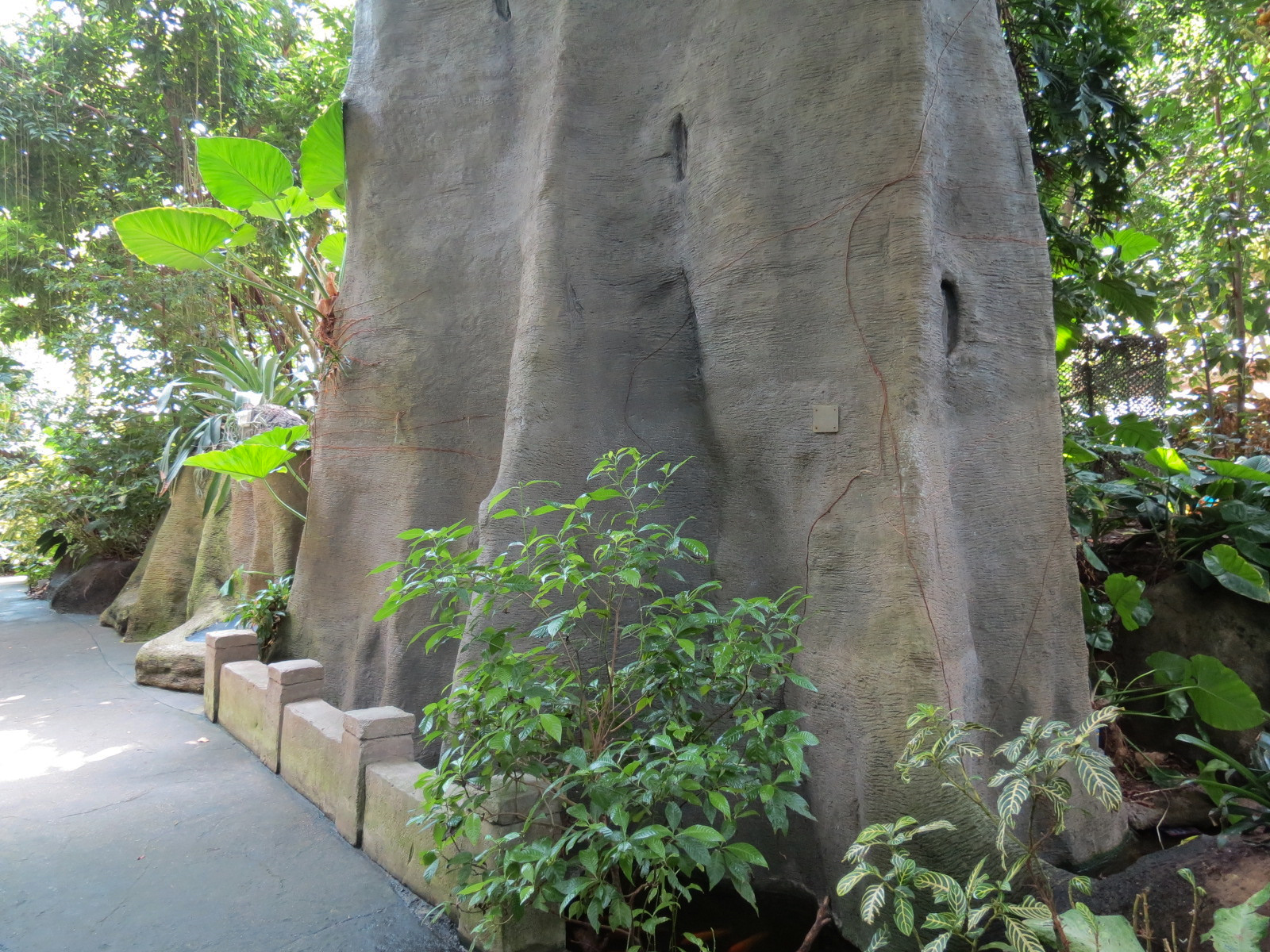 Rainforest - Base of Simulated Tree