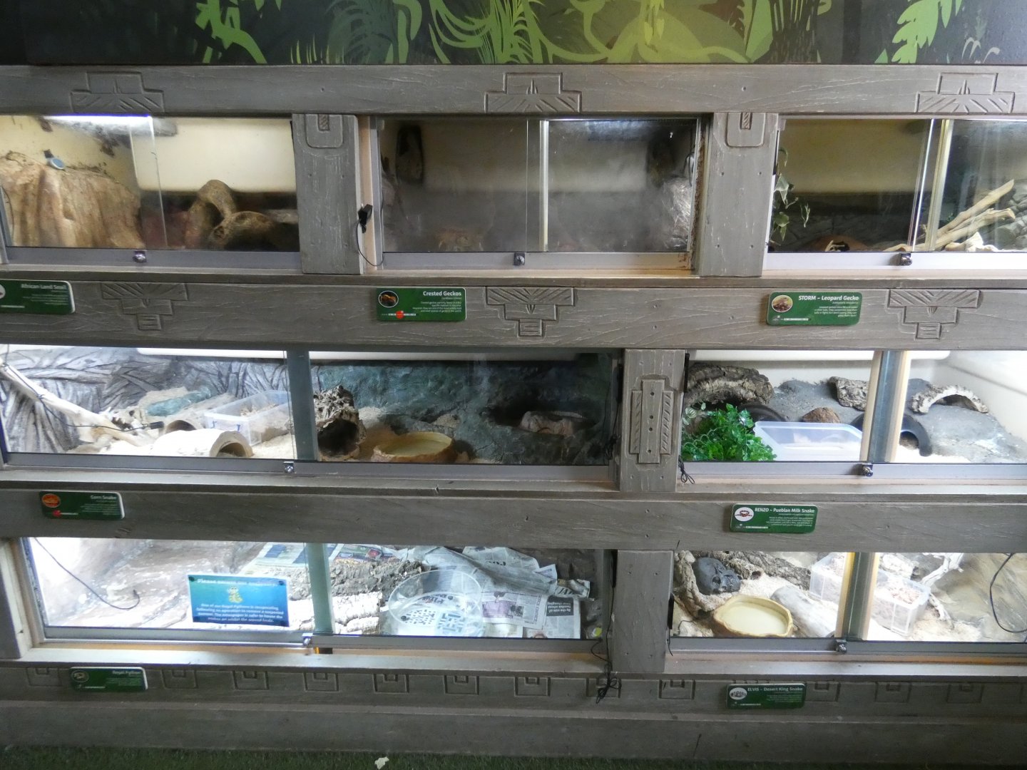 Rainforest basecamp display