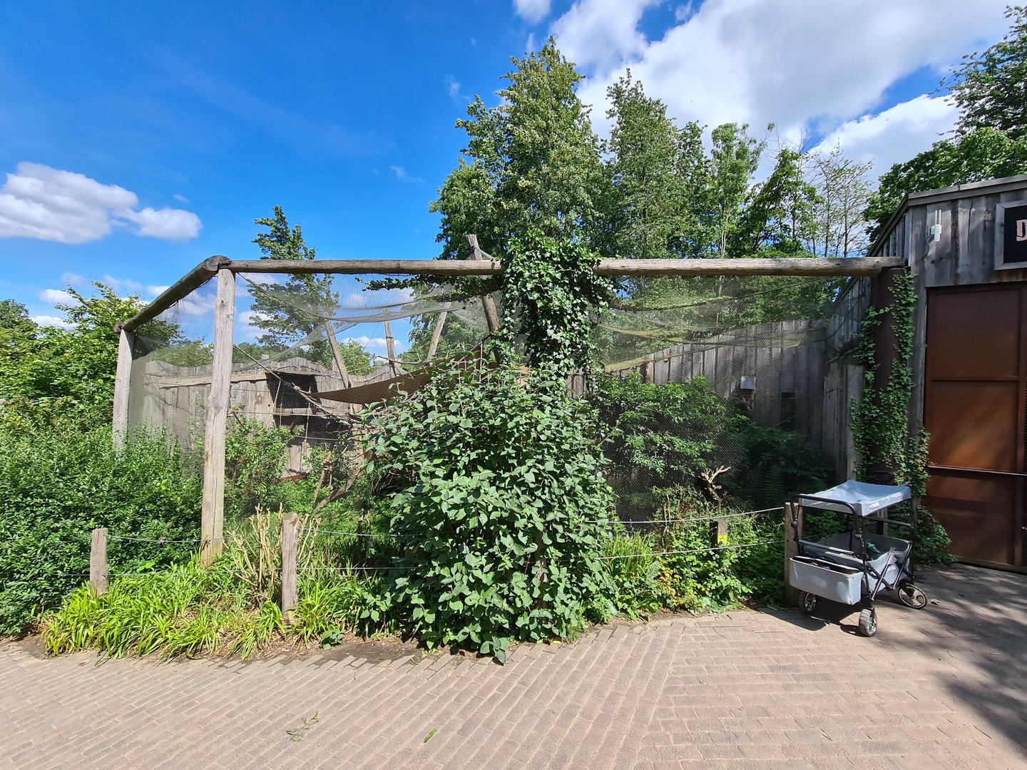 Rainforest - Bolivian squirrel monkey separation aviary