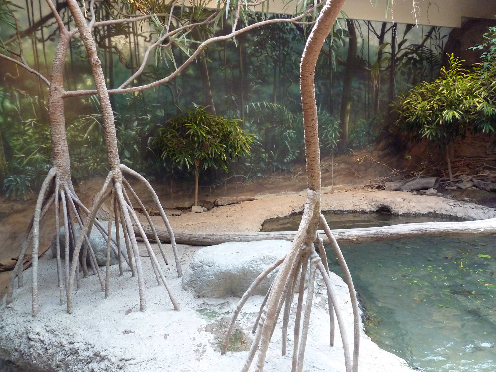RainForest Building - Asian Small-Clawed Otter Exhibit