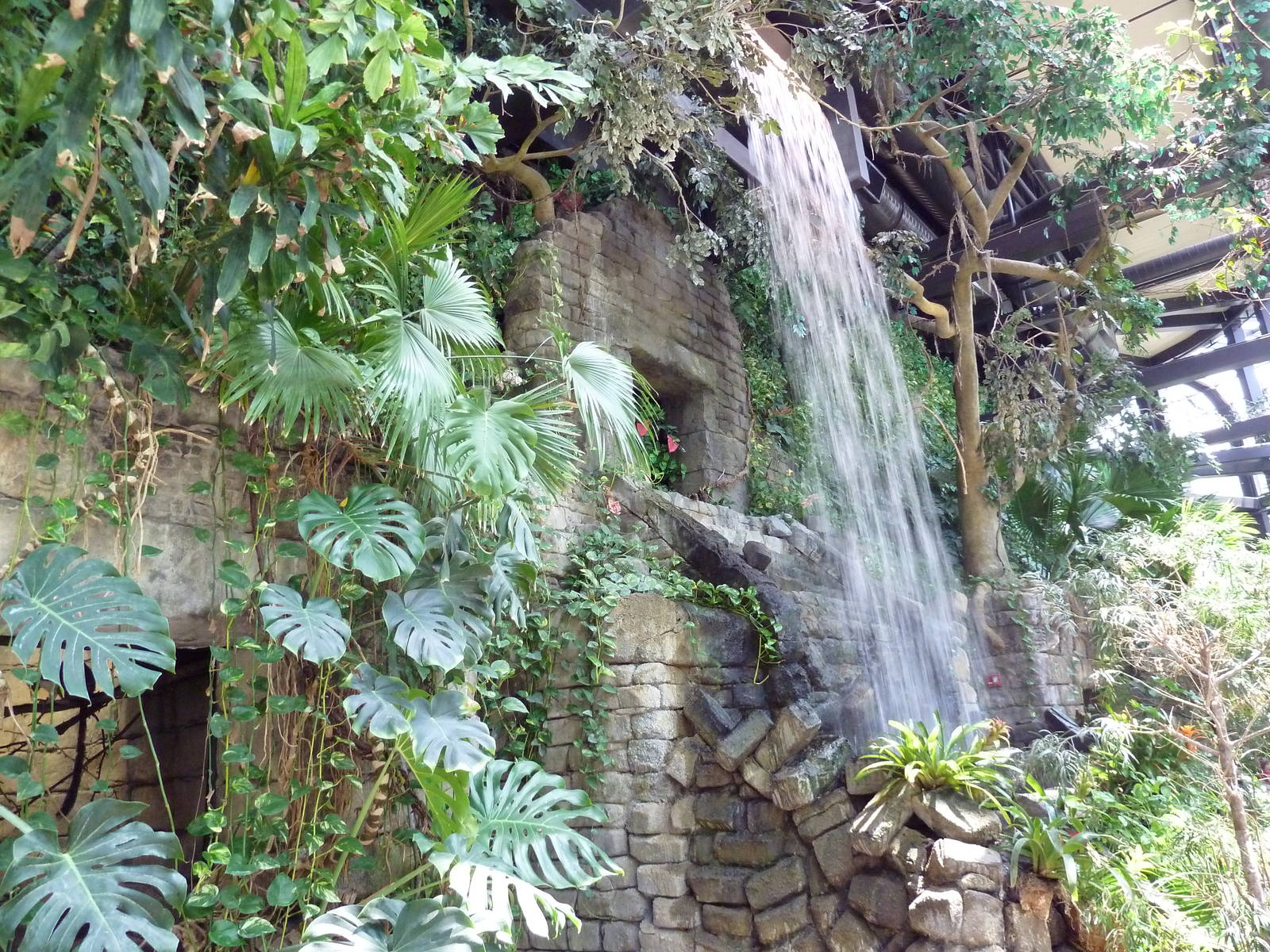 RainForest Building - Atrium Waterfall