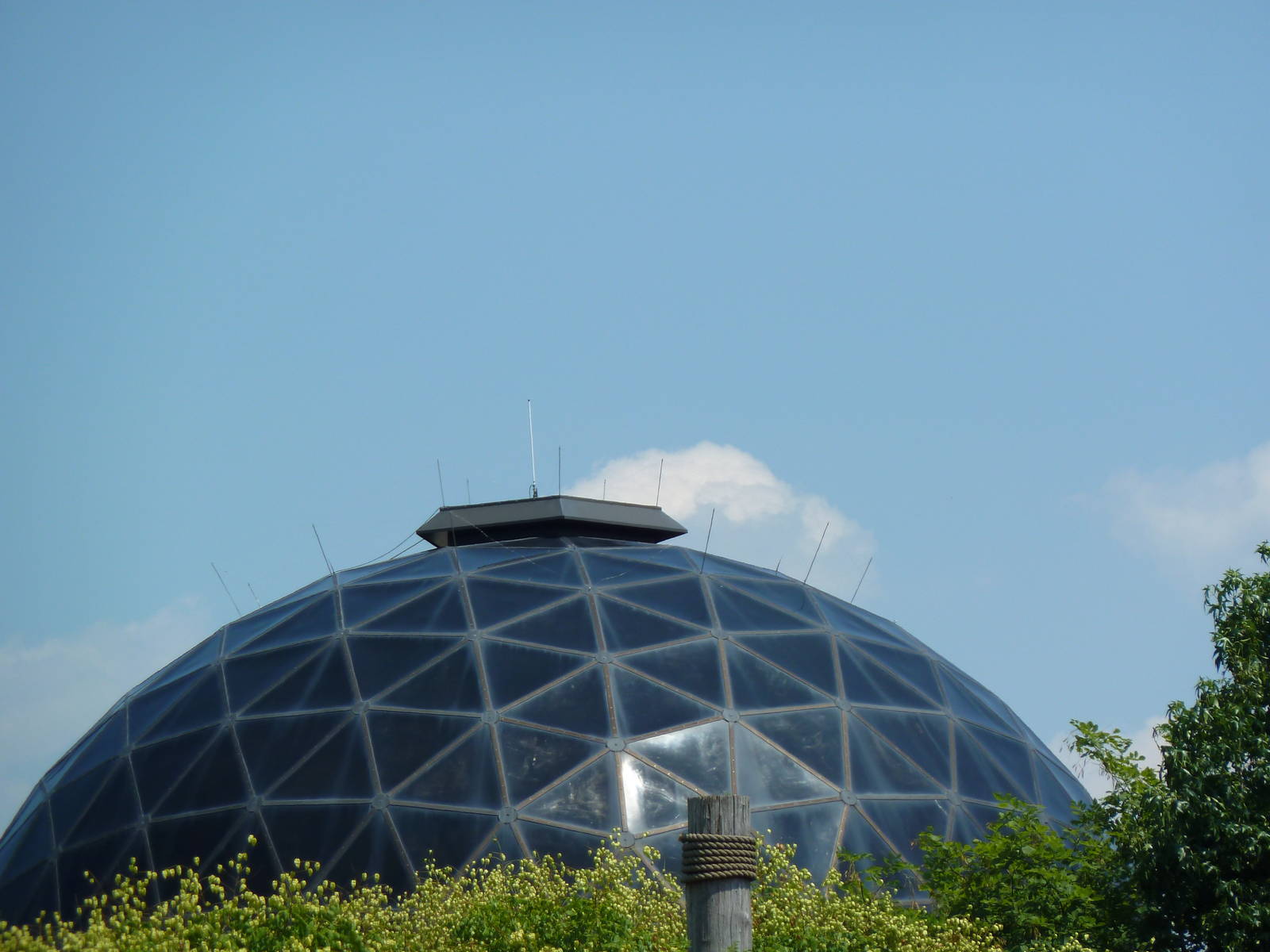 RainForest Building - Bornean Orangutan Dome