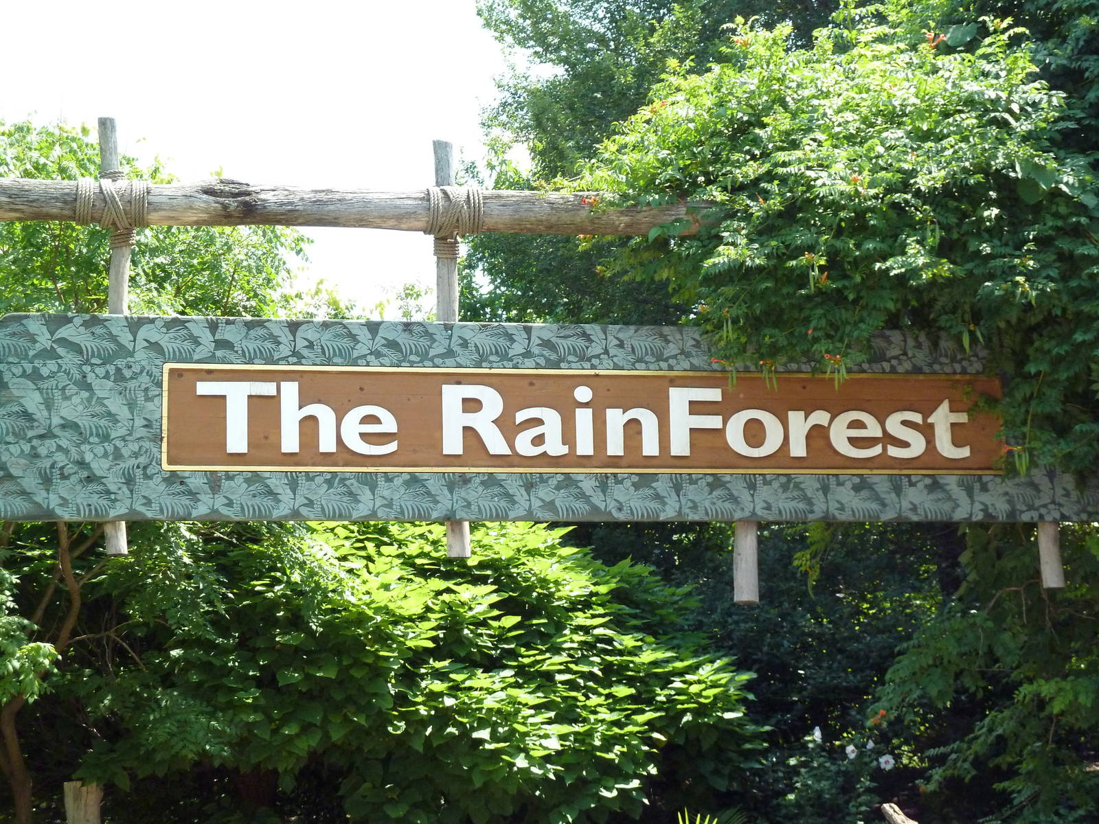 RainForest Building - Entrance Sign