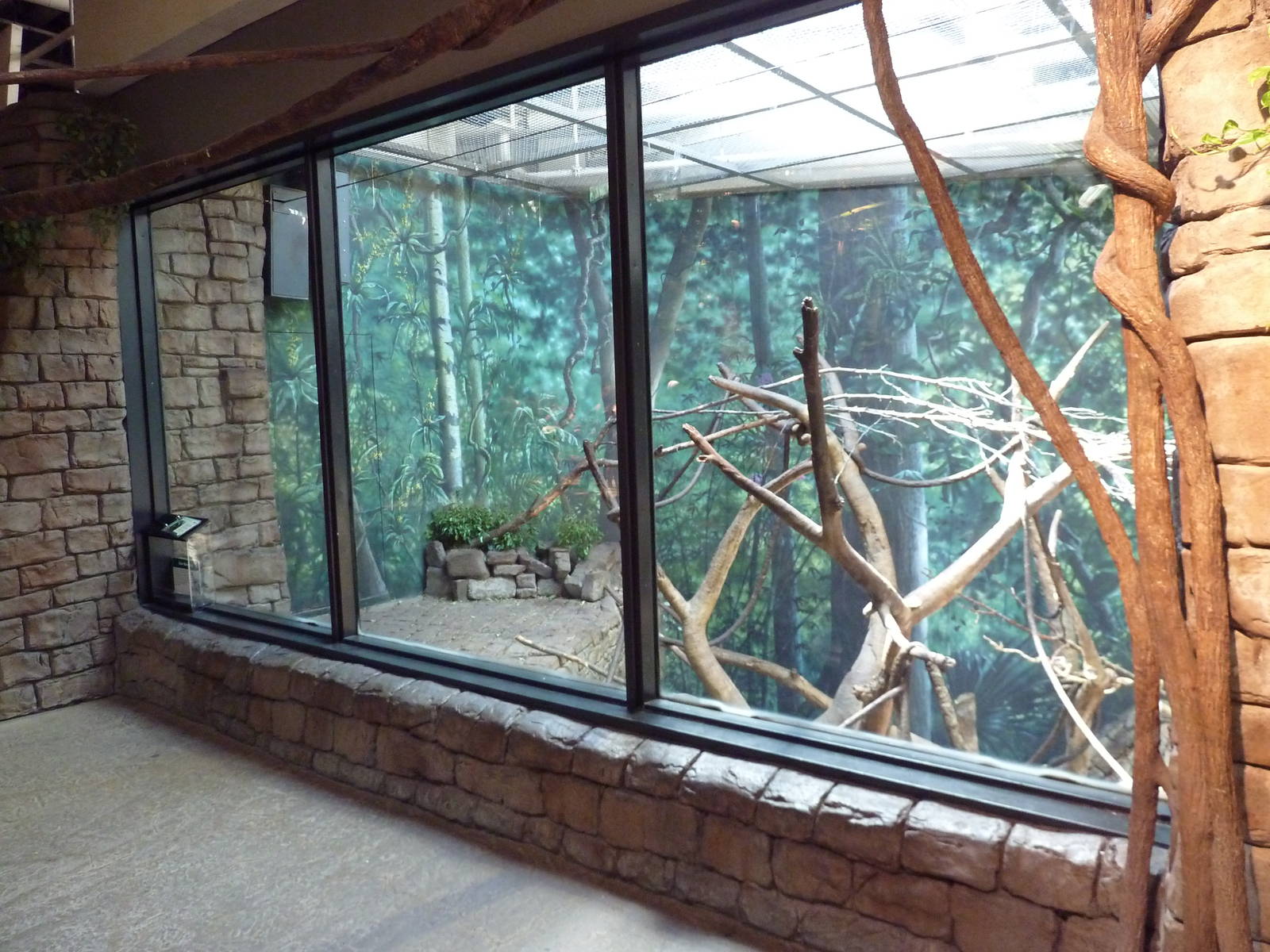 RainForest Building - Francois Langur/Prevost's Squirrel Exhibit