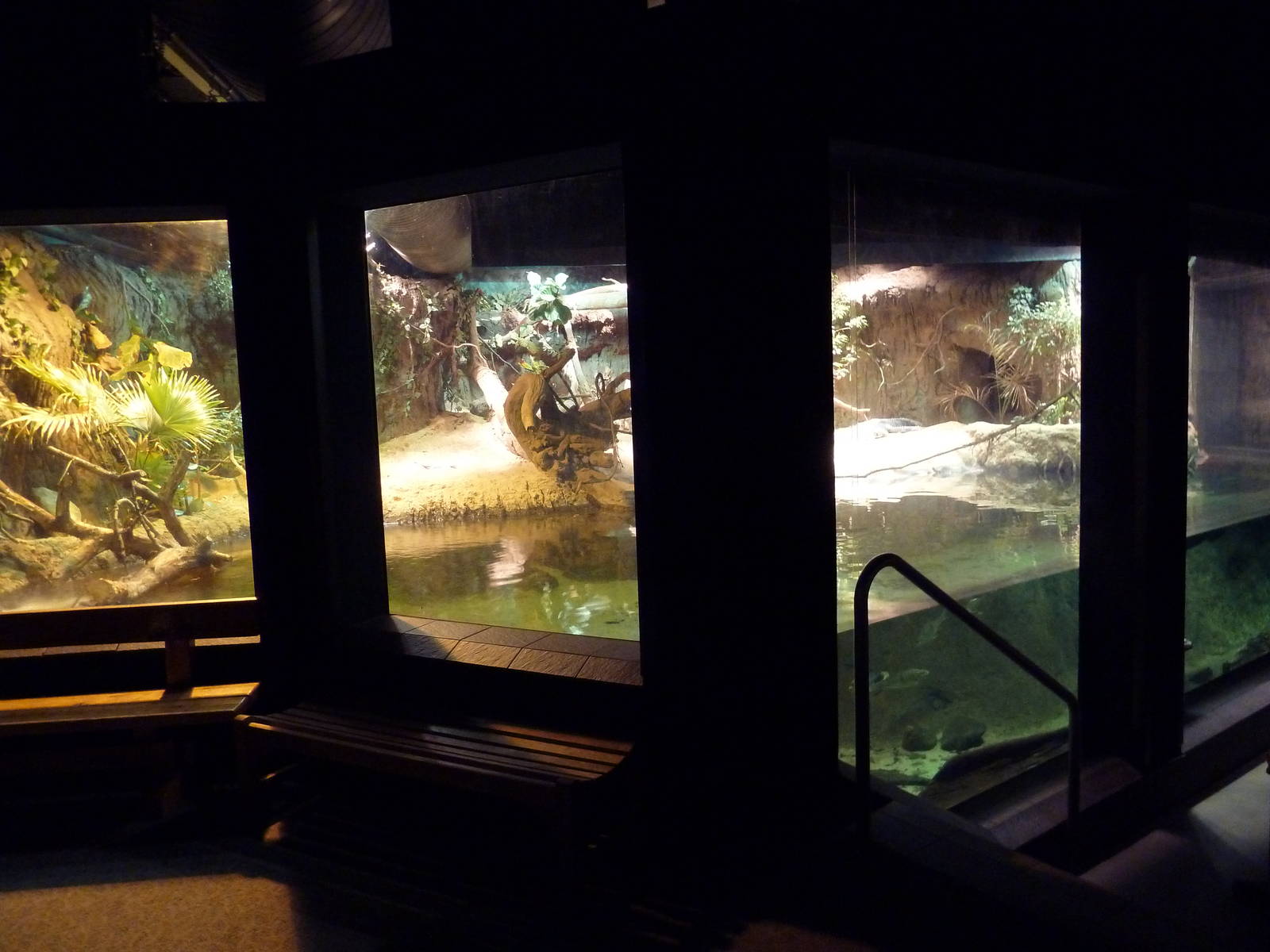 RainForest Building - Gharial/Turtle Exhibit