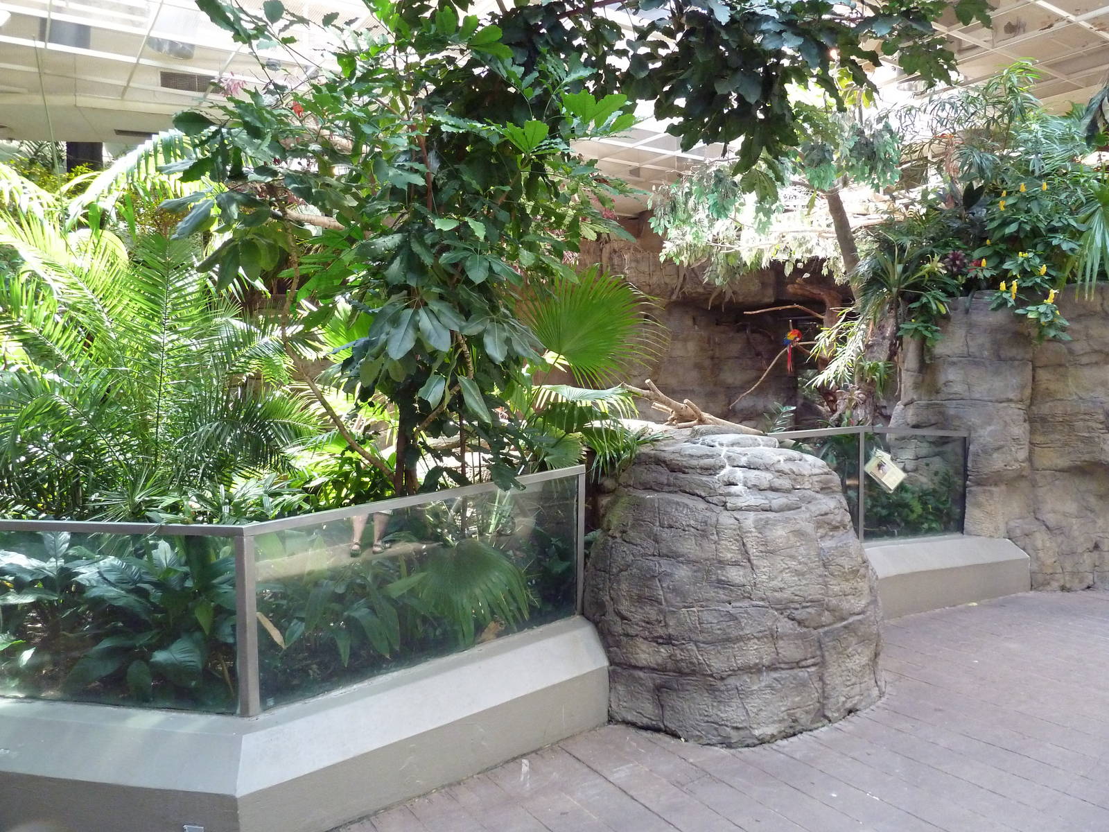 RainForest Building - Giant Anteater/Scarlet Macaw/Capybara Exhibit
