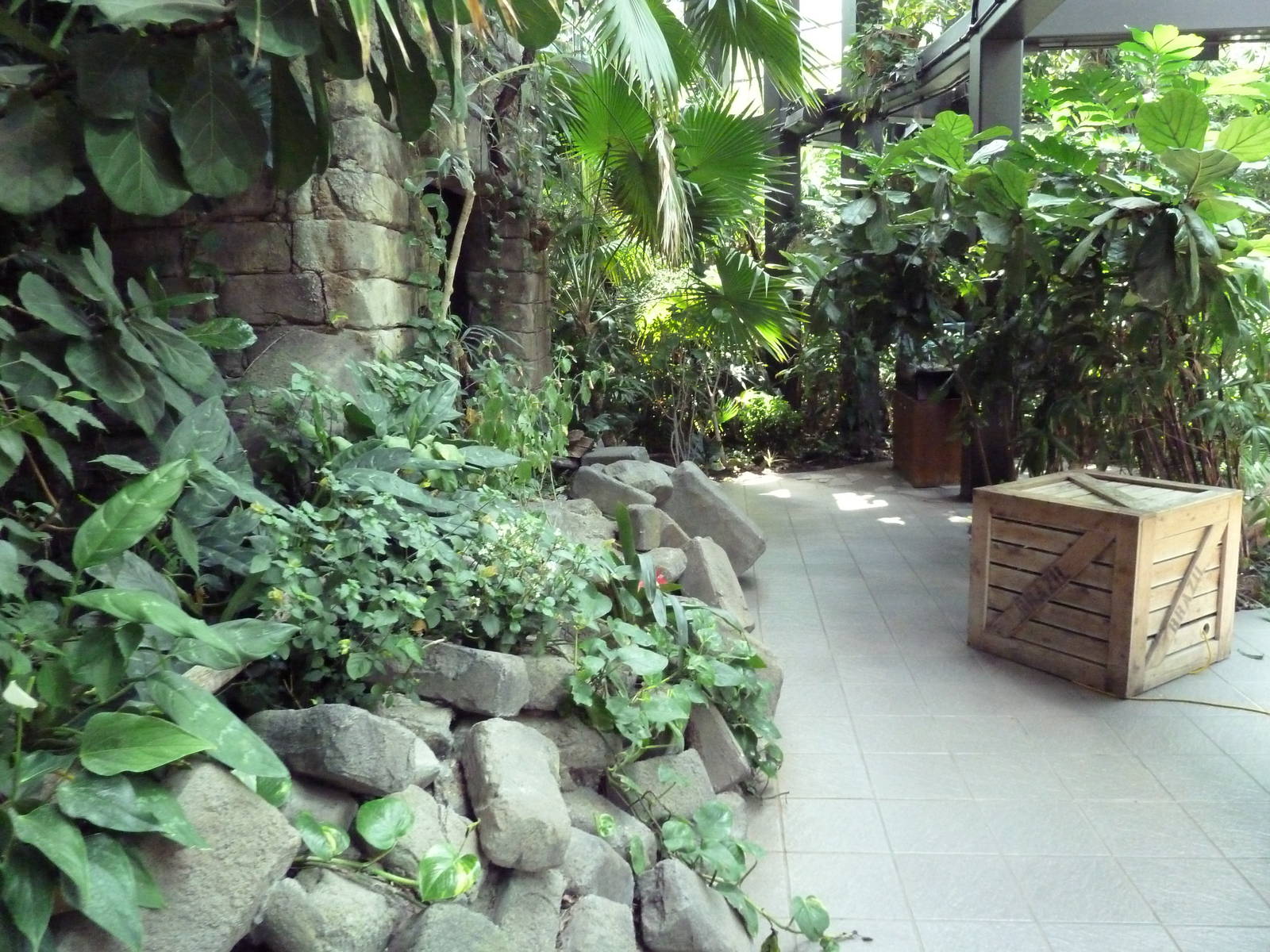 RainForest Building - Medicine Trail