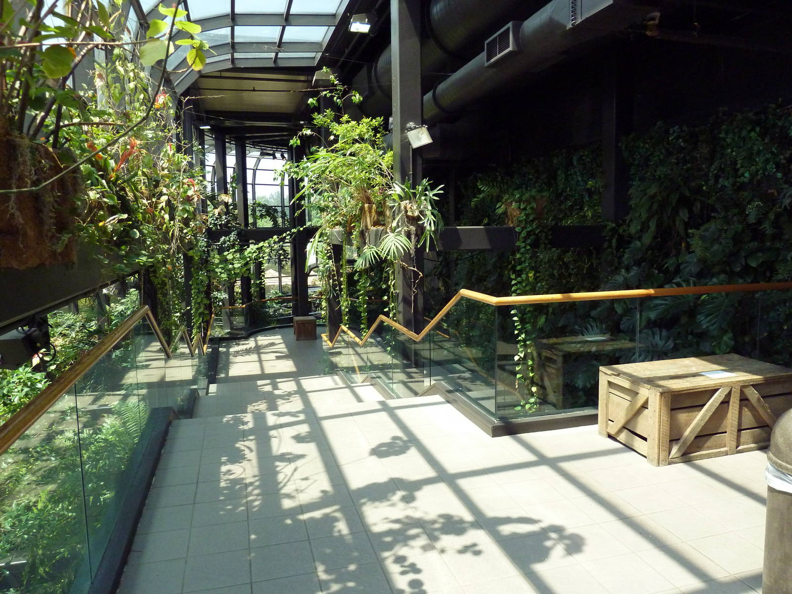 RainForest Building - Medicine Trail