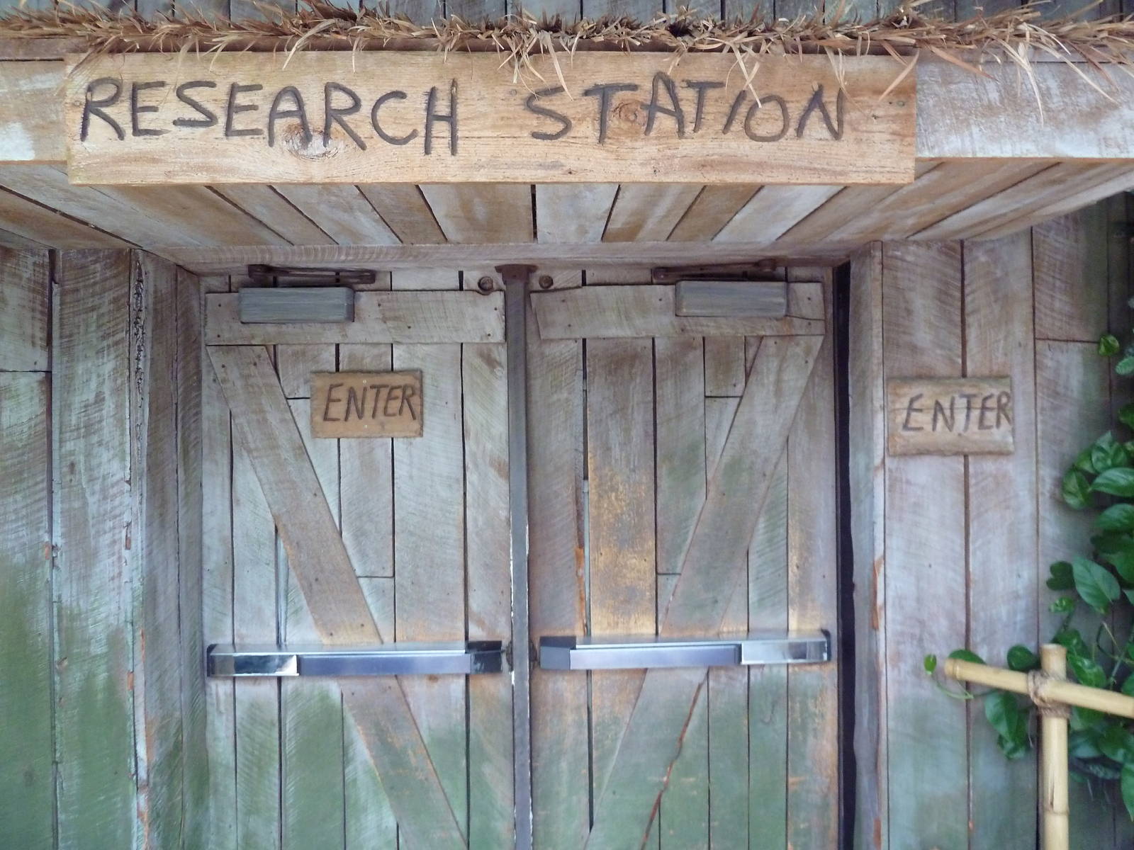 RainForest Building - Scientist's Hut