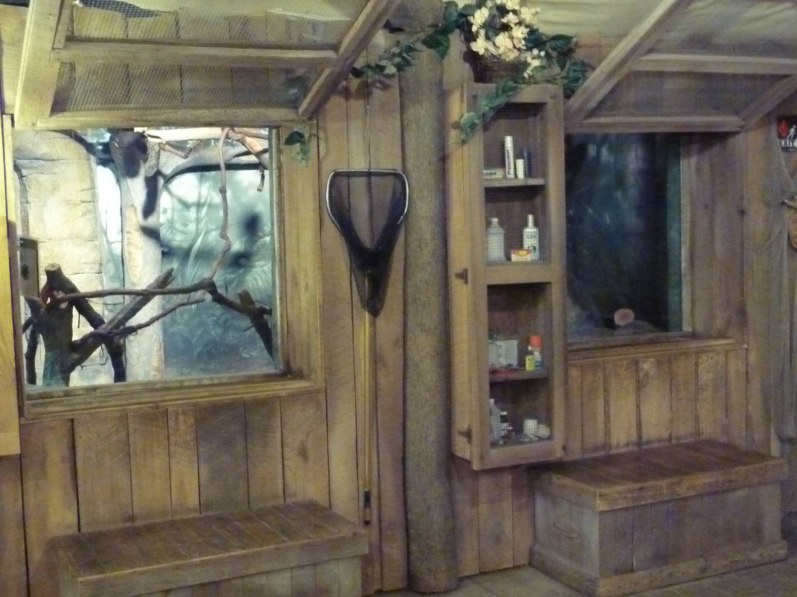 RainForest Building - Scientist's Hut