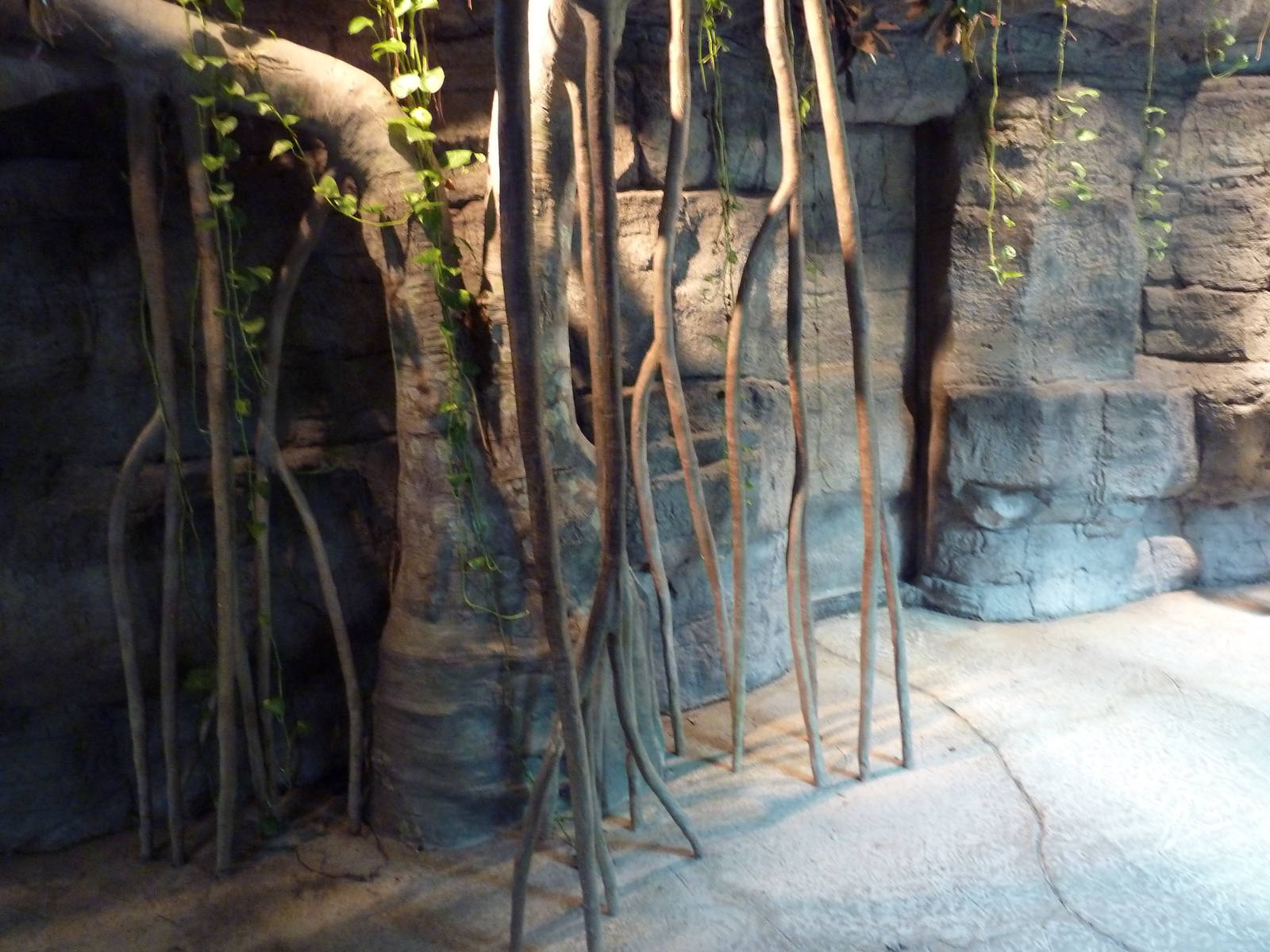 RainForest Building - Visitor Pathway