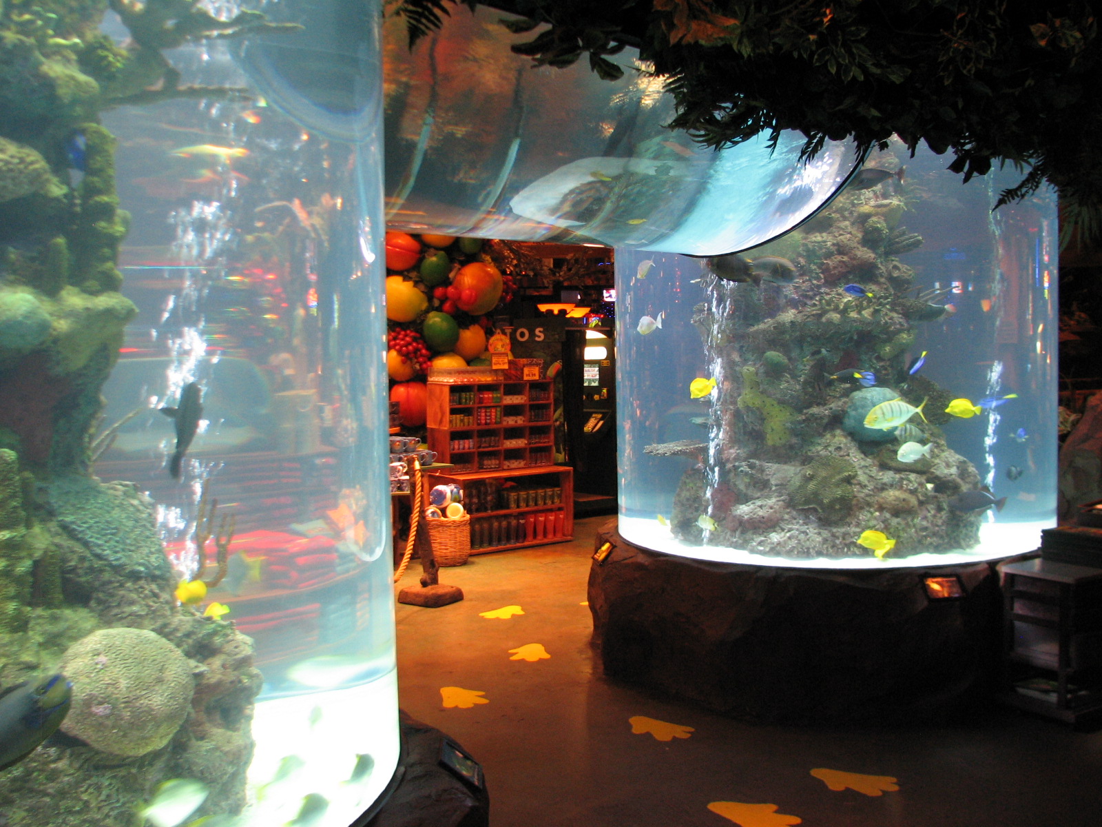 Rainforest Cafe at MGM Grand Hotel Casino in Las Vegas - Archway Tank