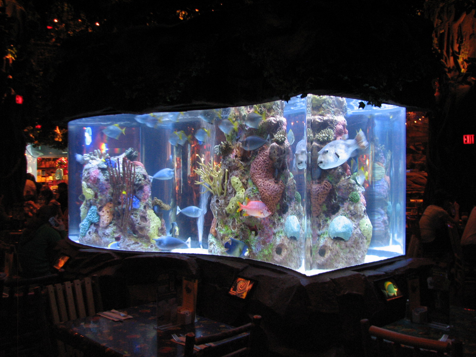 Rainforest Cafe at MGM Grand Hotel Casino in Las Vegas - Downstairs Tank 2