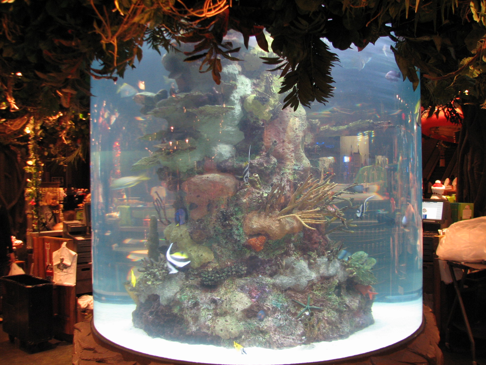 Rainforest Cafe at MGM Grand Hotel Casino in Las Vegas - Gift Shop Tank